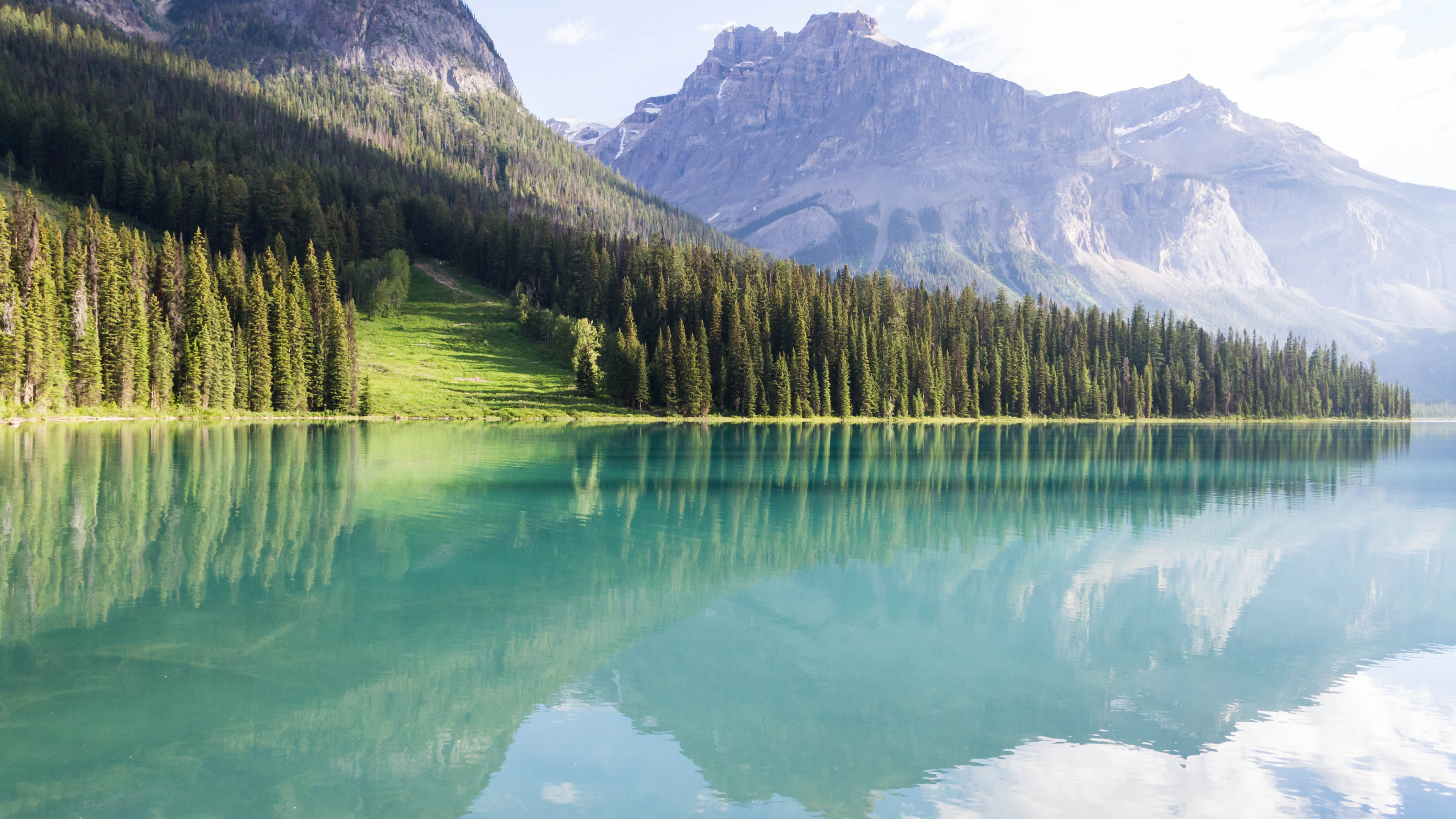 Wallpaper Green Trees Near Lake and Mountain During Daytime, 4K Ultra ...