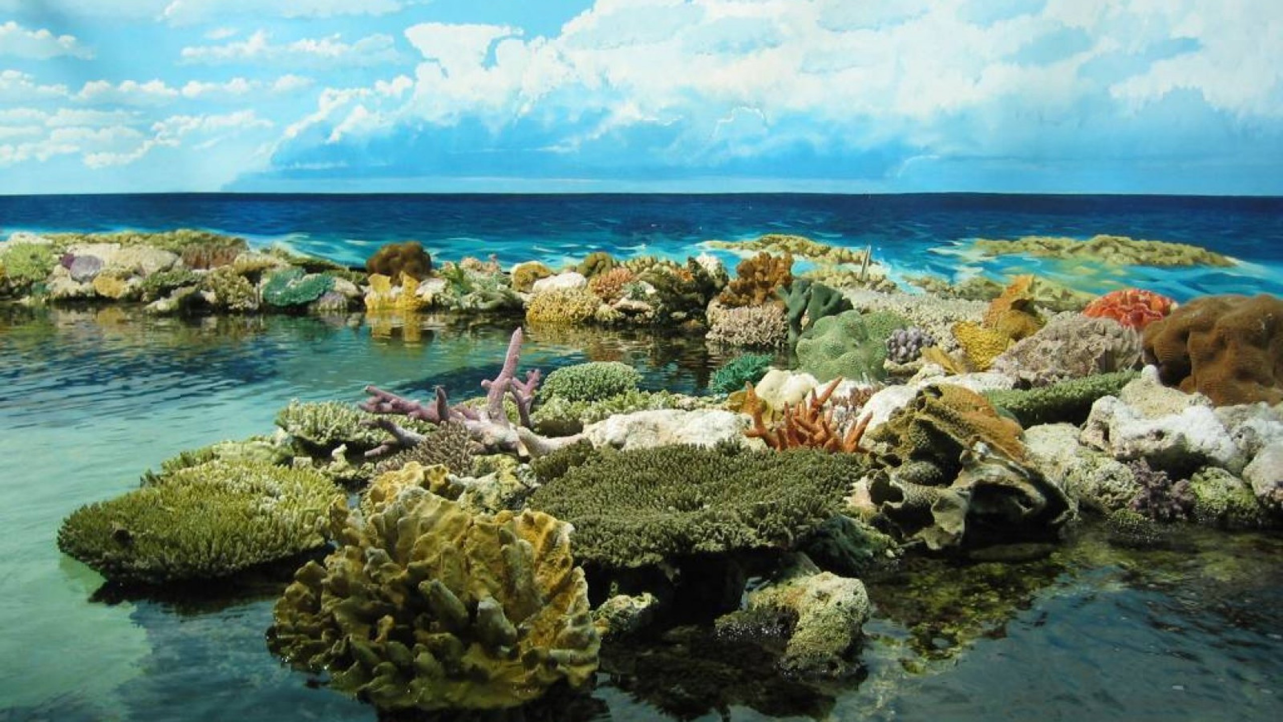 Коралловый риф протянувшийся вдоль восточной окраины материка. Коралловый риф в Австралии. Большой Барьерный риф Австралия природа. Морской национальный парк большой Барьерный риф. Острова большого барьерного рифа.