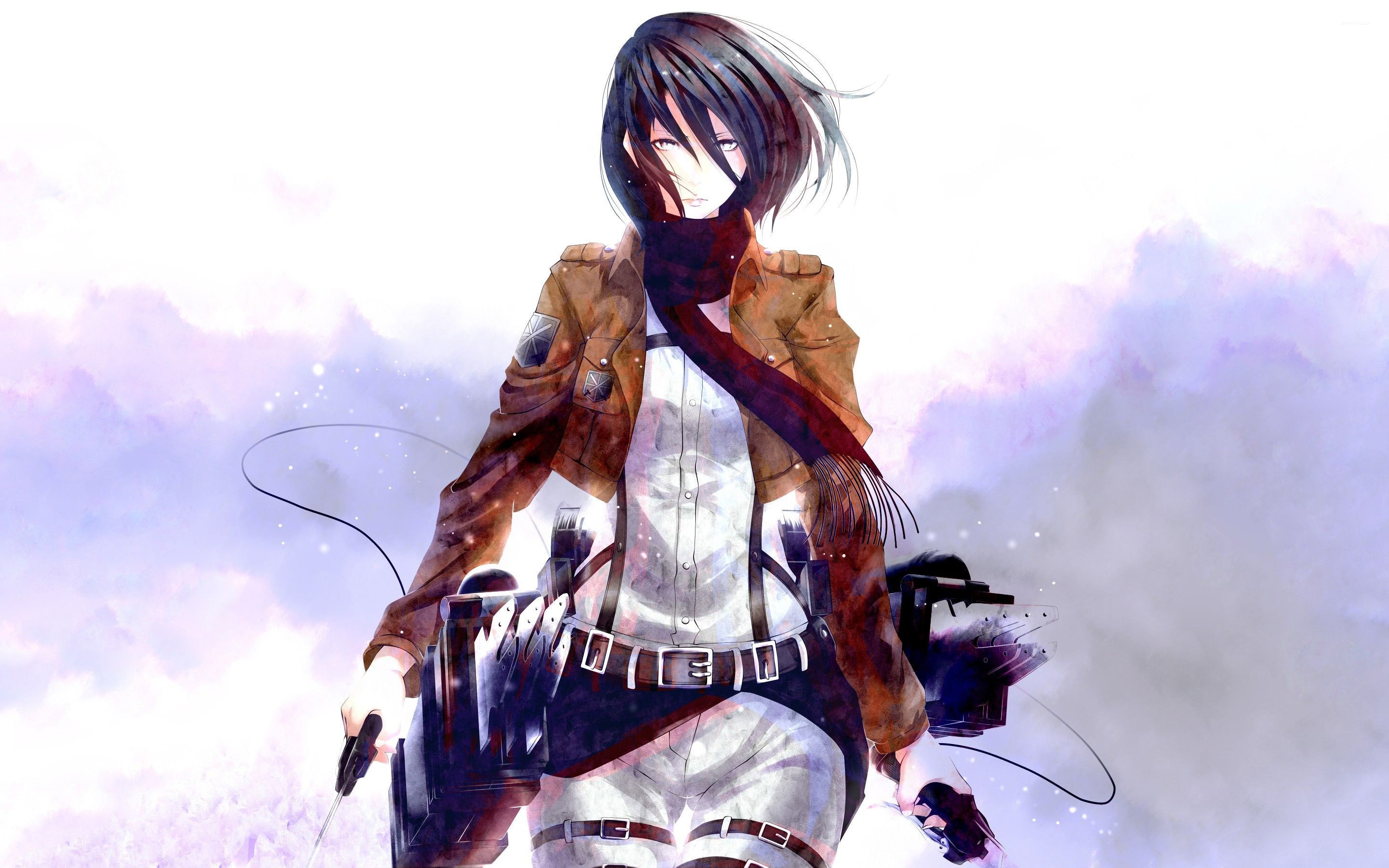 I don't understand, why do people hate Mikasa Ackerman?? She's one of the  best female characters in anime/manga.. : r/AOanything