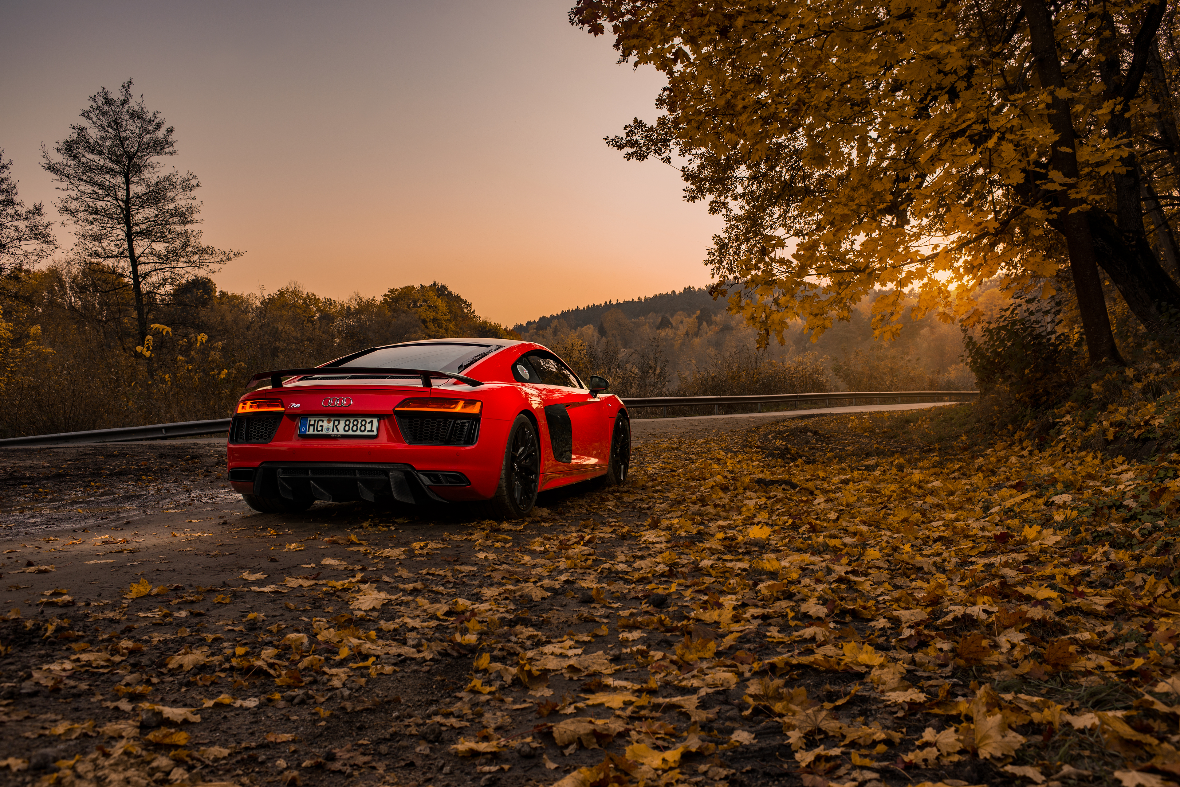 4 8 машины. Ауди р8 в лесу. Ауди r8 осень. Audi r8 4к. Обои Ауди р8 4к.