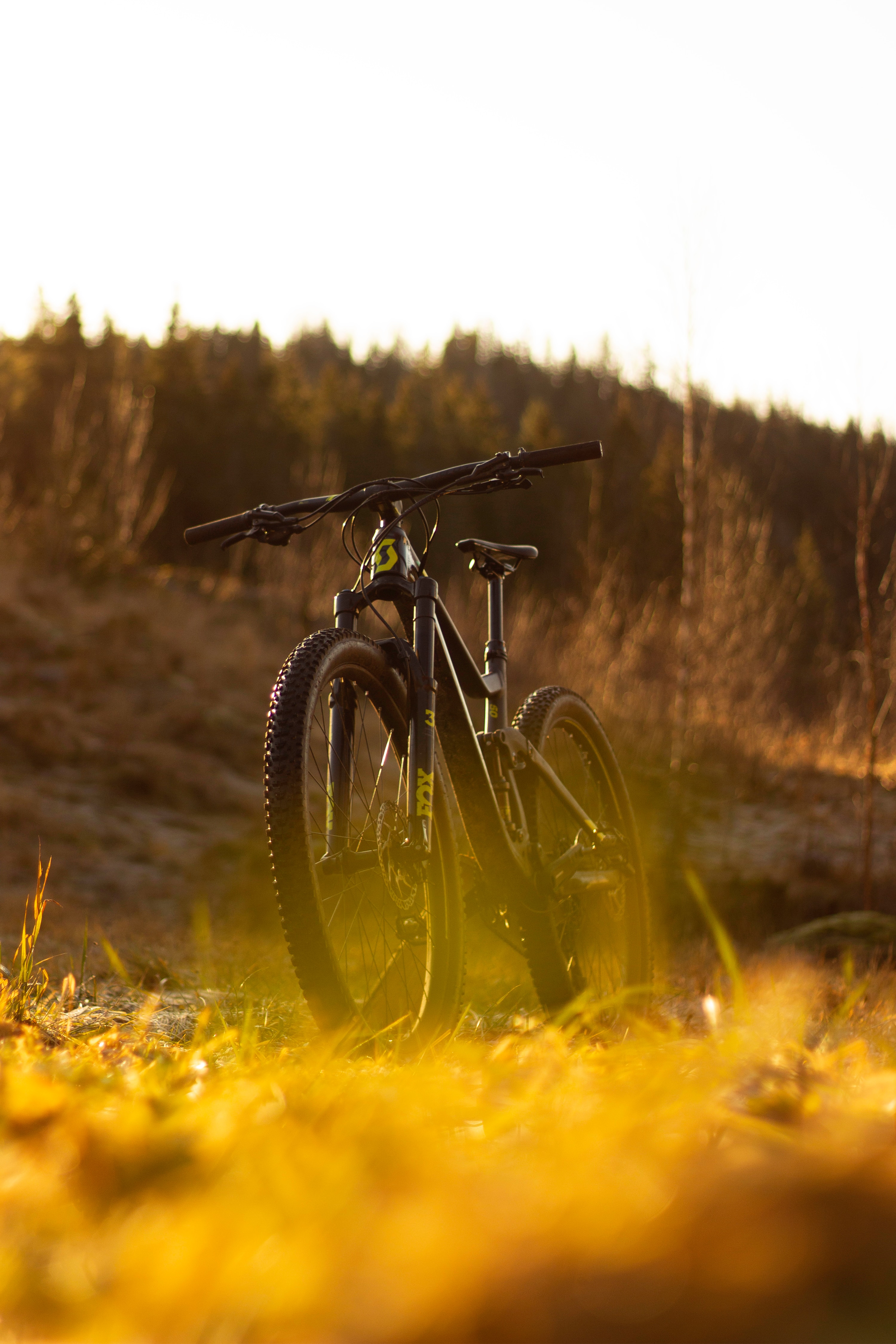 Fondos de Pantalla Bicicleta de Montaña Negra en Campo de Hierba Verde  Durante el Día, Imágenes y Fotos Gratis