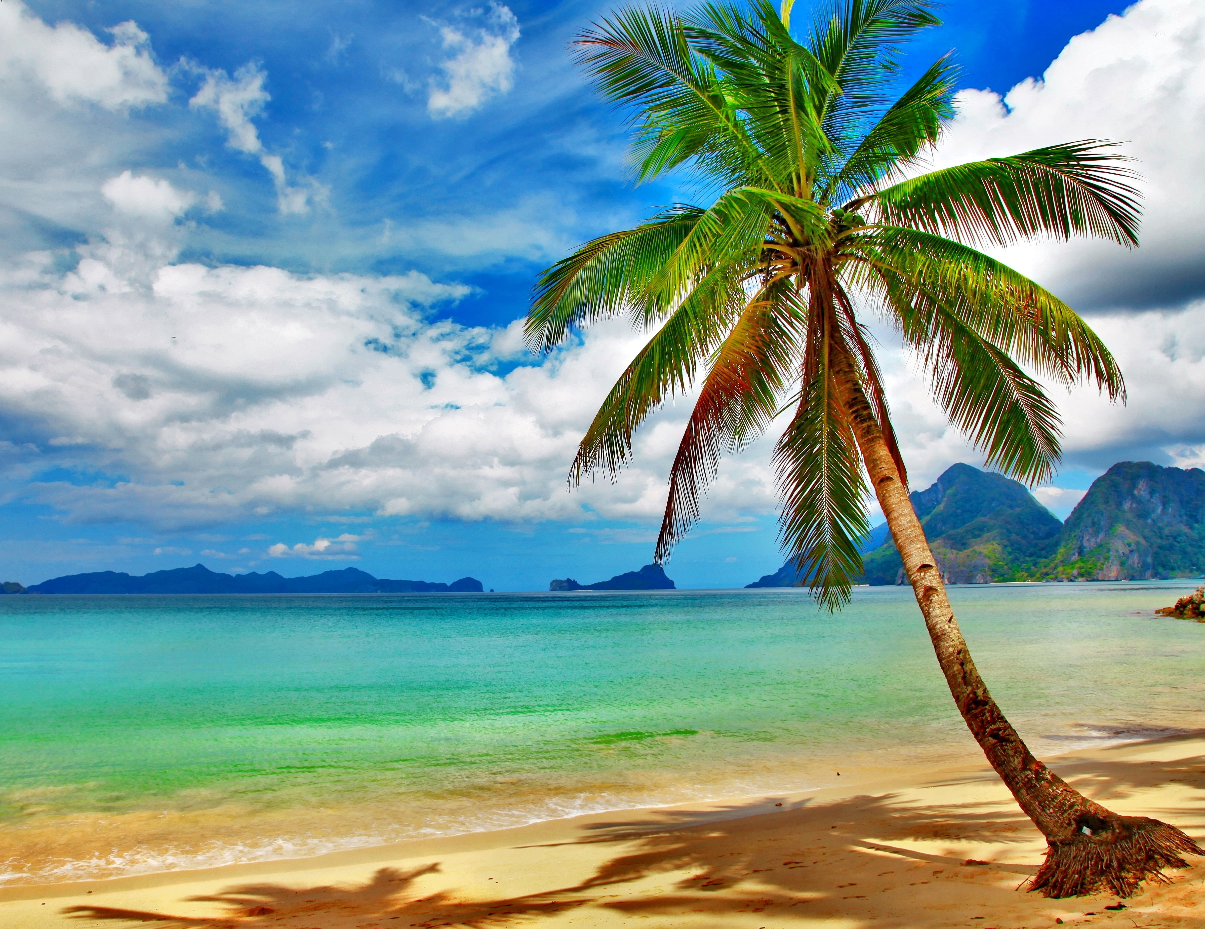 Paradise. Море пляж пальмы. Пляж с пальмами. Райский пляж. Море солнце пляж.
