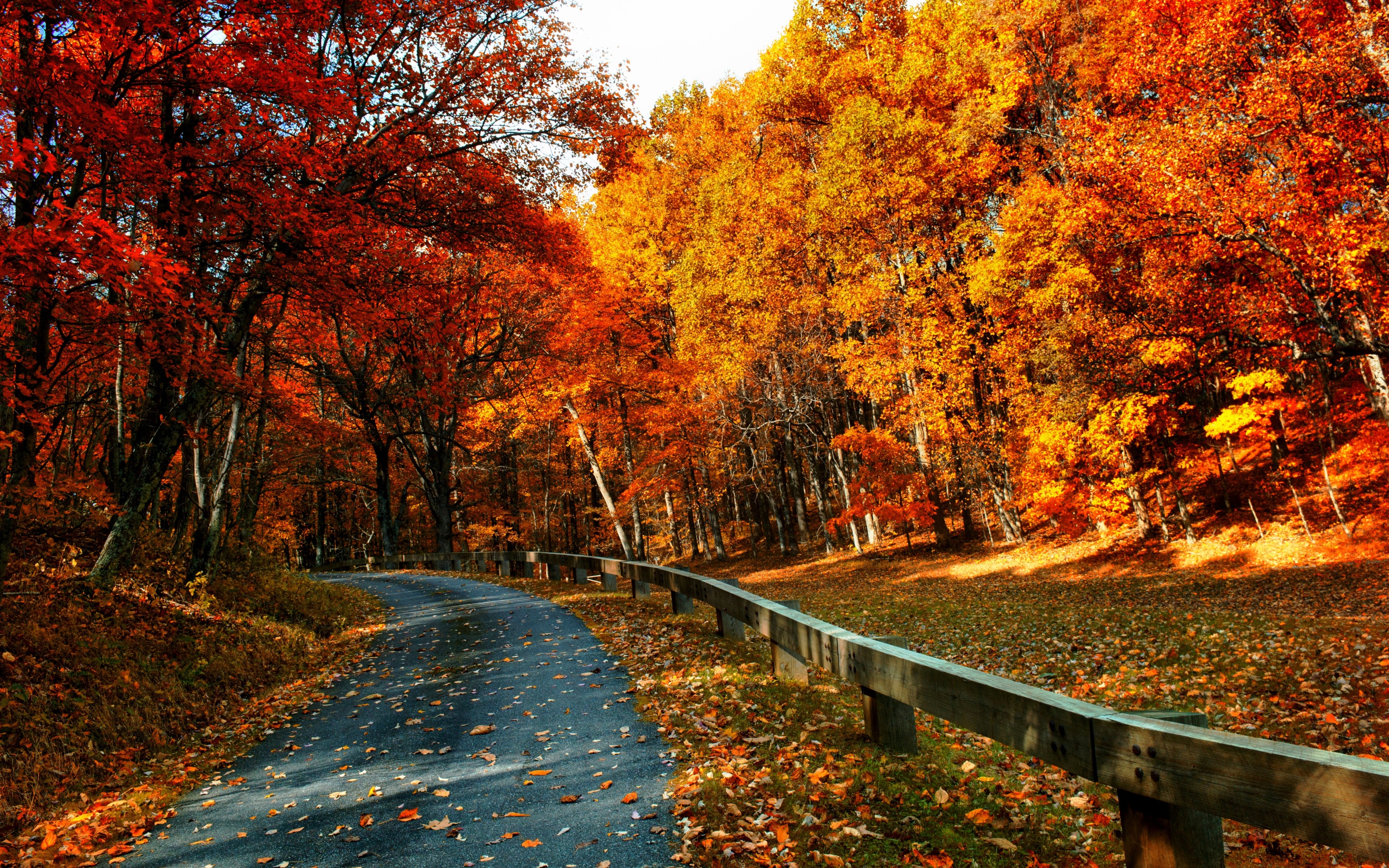 Картинки осени на рабочий. Красивая осень. Осенний парк. Пейзаж осени. Осень на рабочий стол.