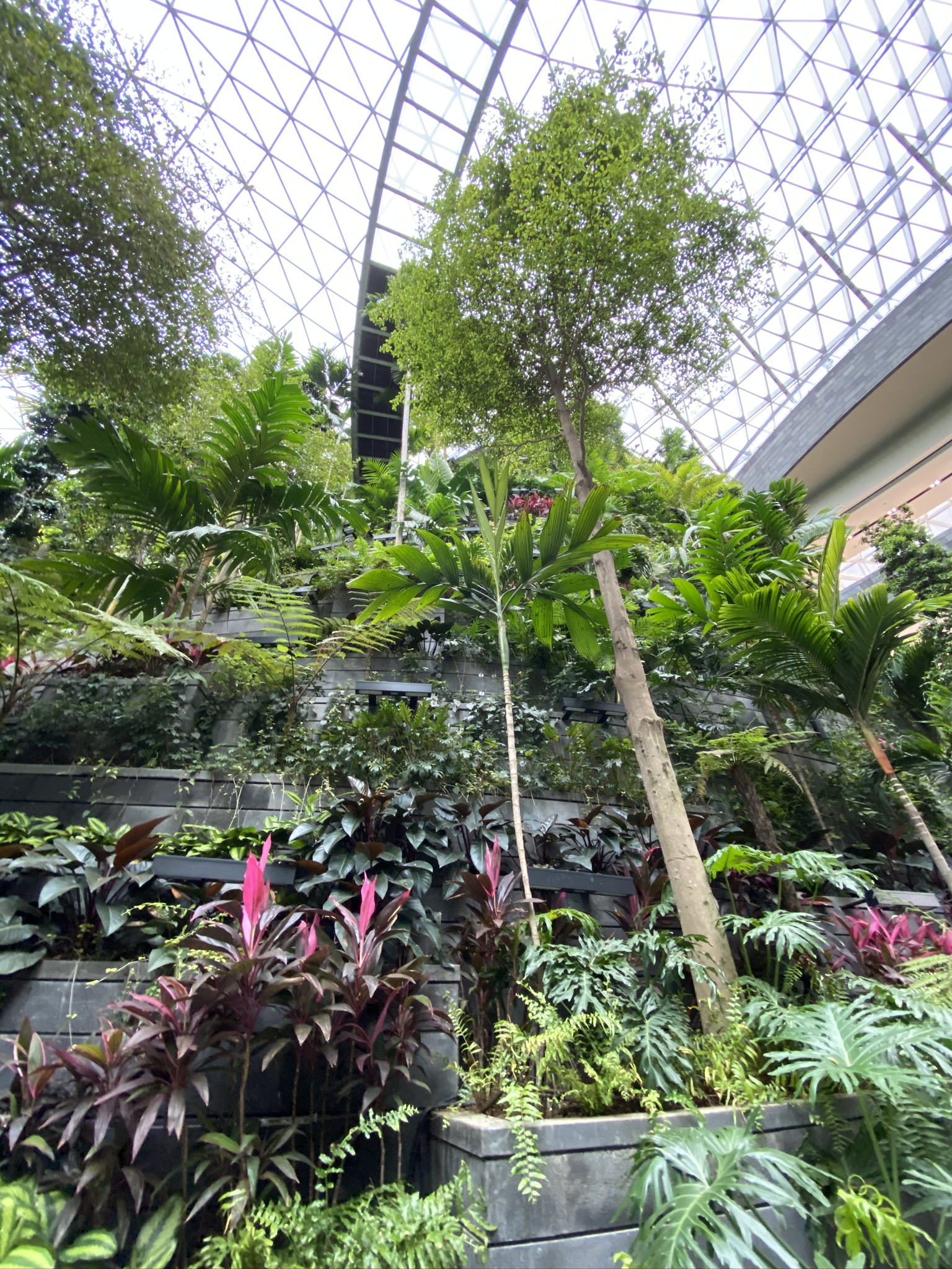 Kostenlose Hintergrundbilder Singapur, Treibhausgasemissionen, Biome