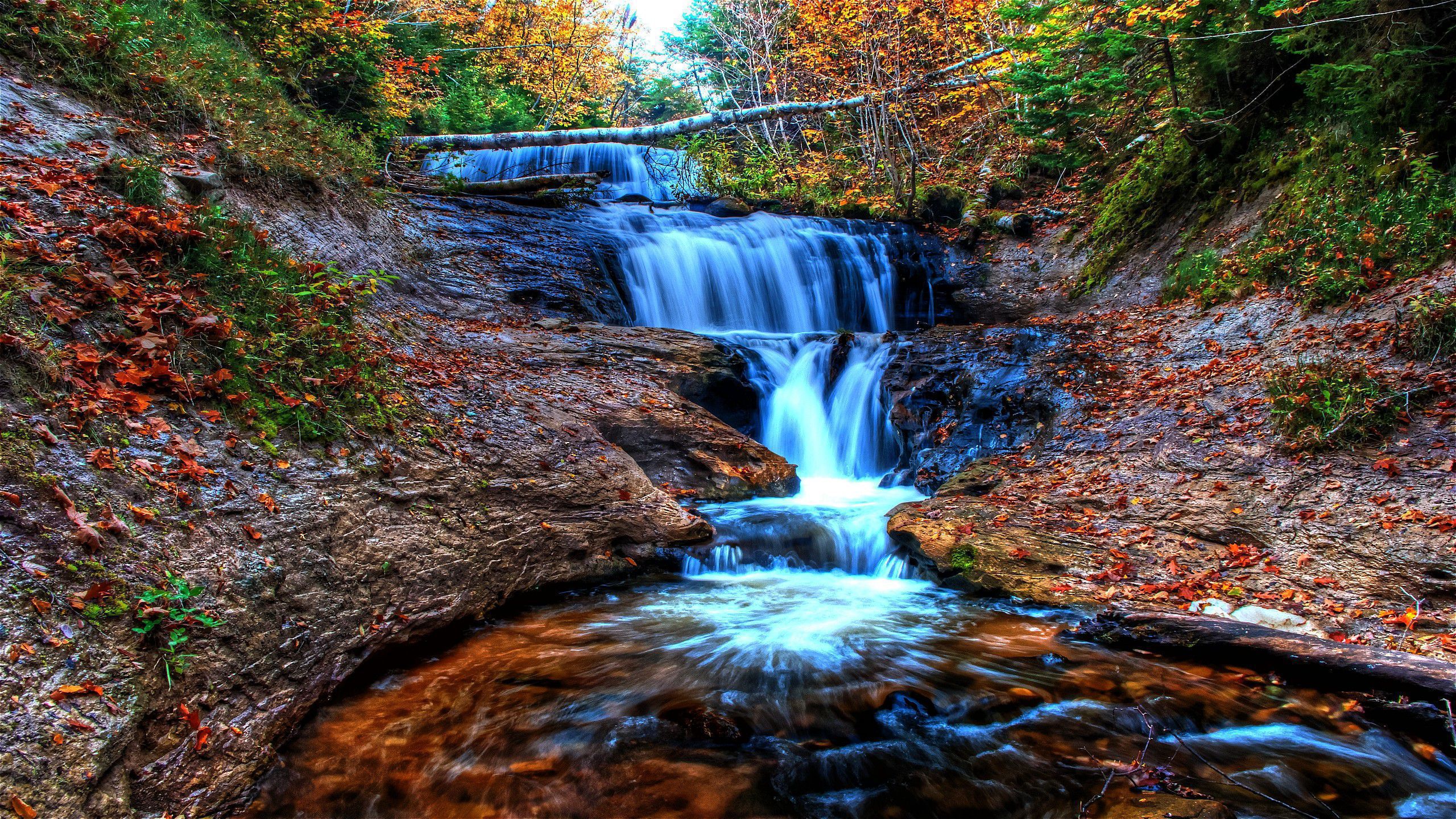 Water Falls in The Middle of The Forest. Wallpaper in 2560x1440 Resolution