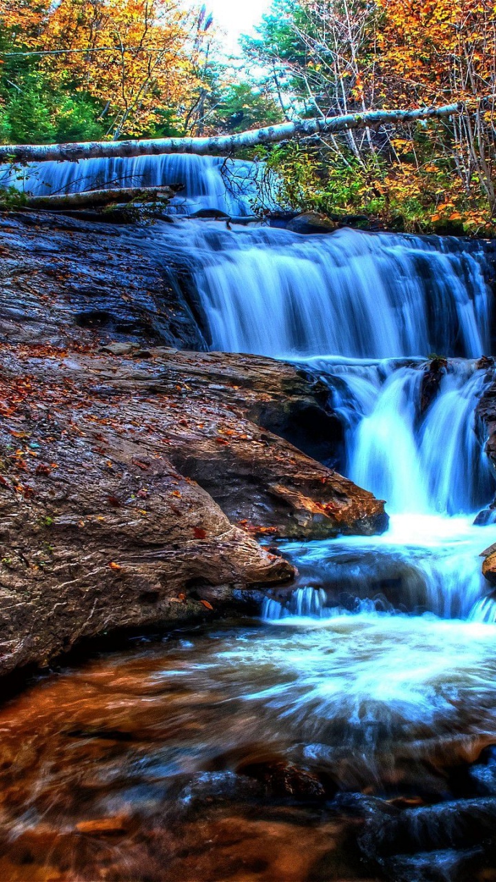 el Agua Cae en Medio Del Bosque. Wallpaper in 720x1280 Resolution