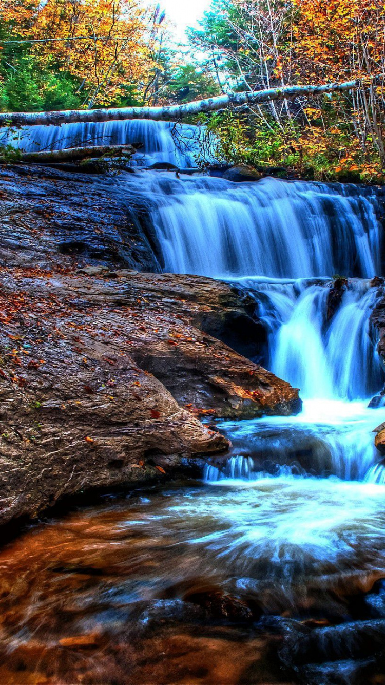 el Agua Cae en Medio Del Bosque. Wallpaper in 750x1334 Resolution