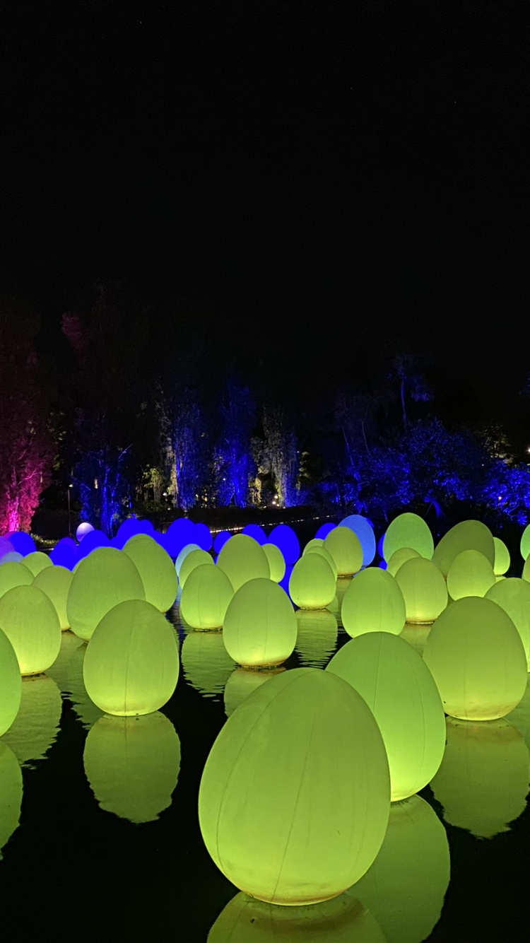 Singapore, Light, Physics, Science, Night. Wallpaper in 750x1334 Resolution