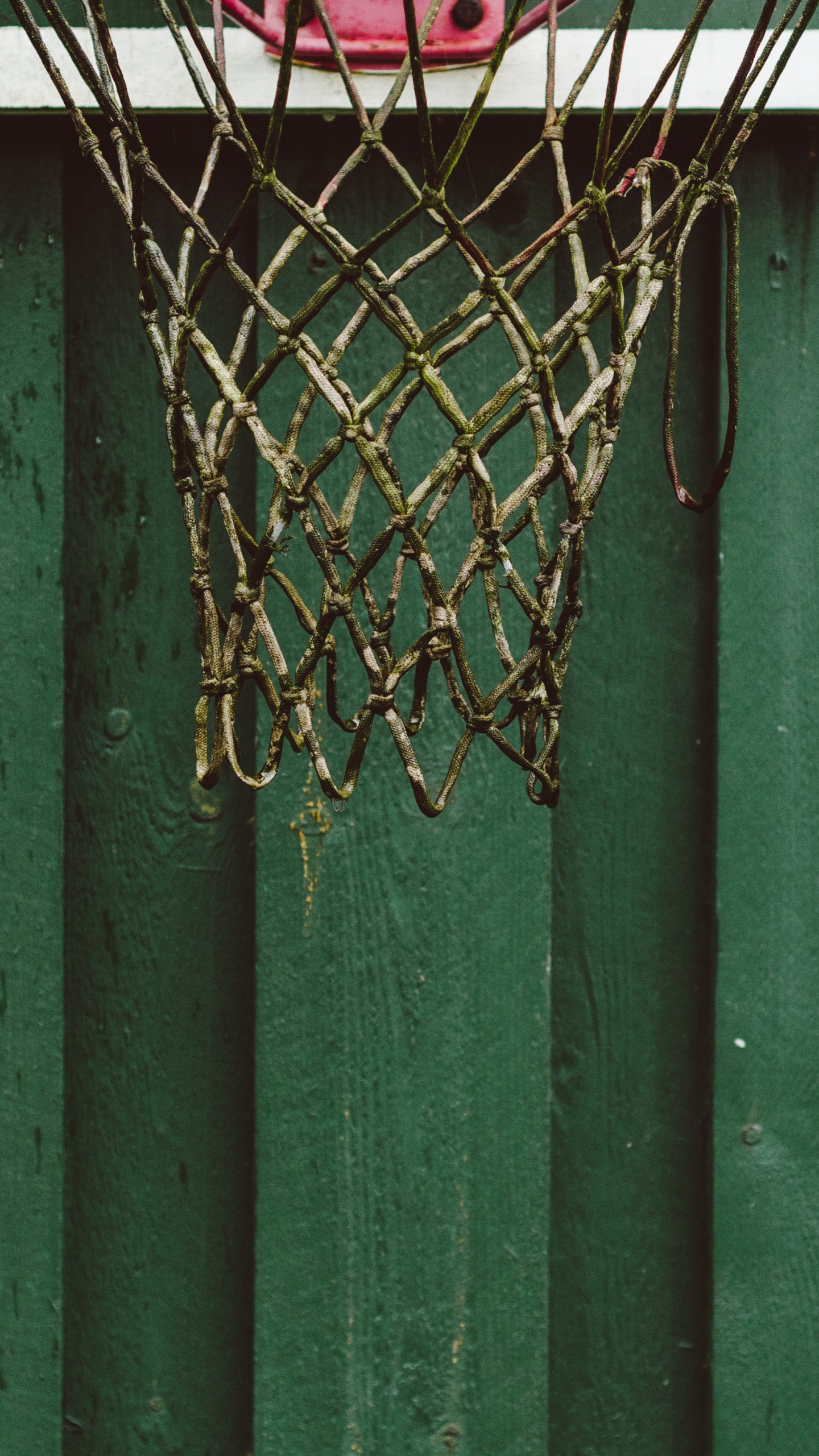 Weißer Und Roter Basketballkorb. Wallpaper in 1440x2560 Resolution