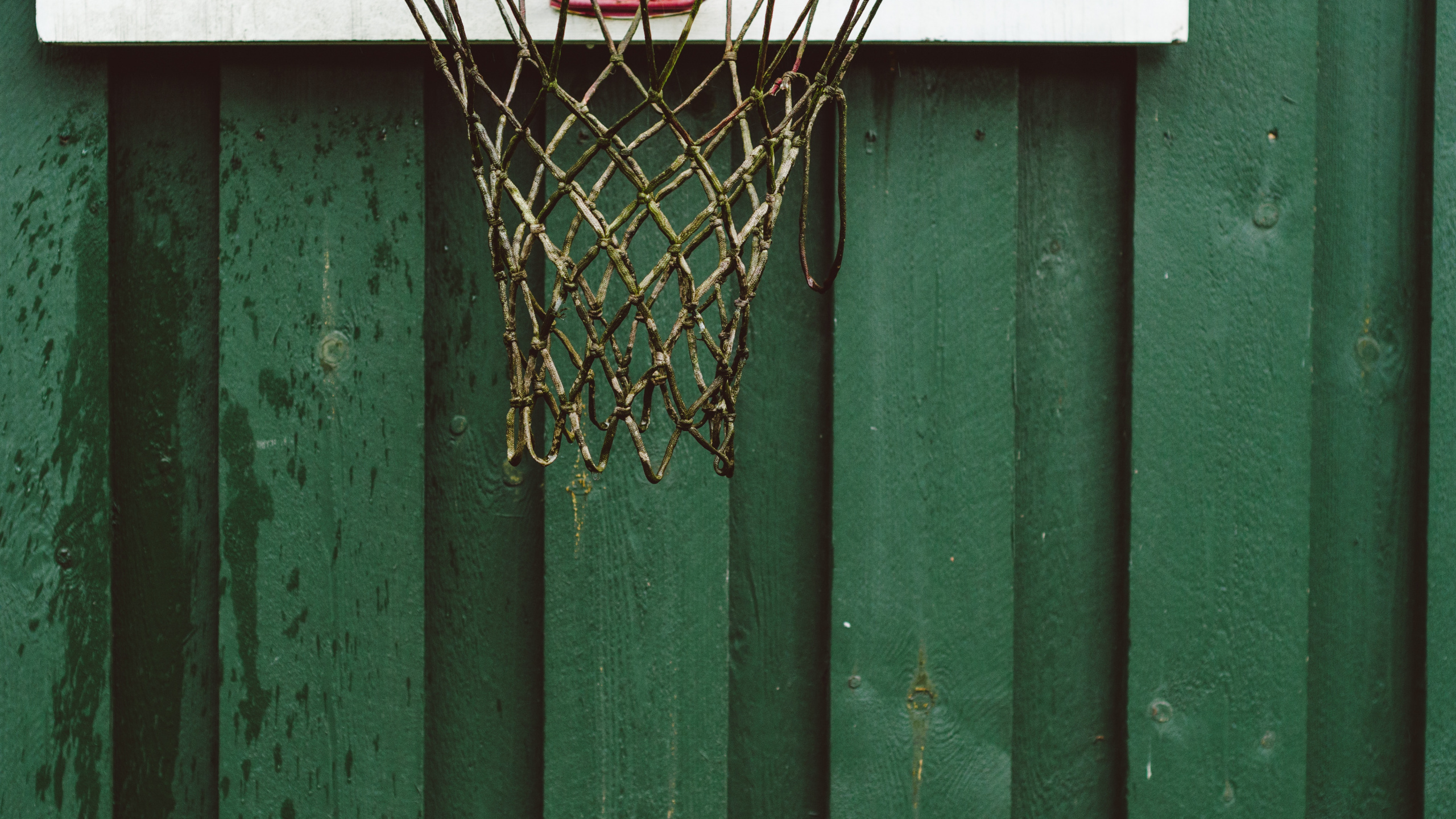 Aro de Baloncesto Blanco y Rojo. Wallpaper in 2560x1440 Resolution