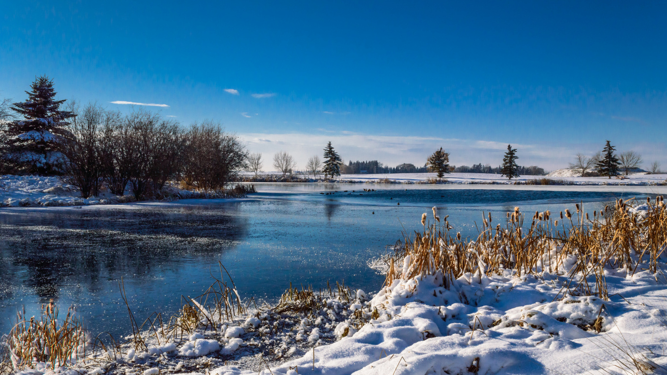 Campo Cubierto de Nieve Cerca Del Cuerpo de Agua Bajo un Cielo Azul Durante el Día. Wallpaper in 1366x768 Resolution