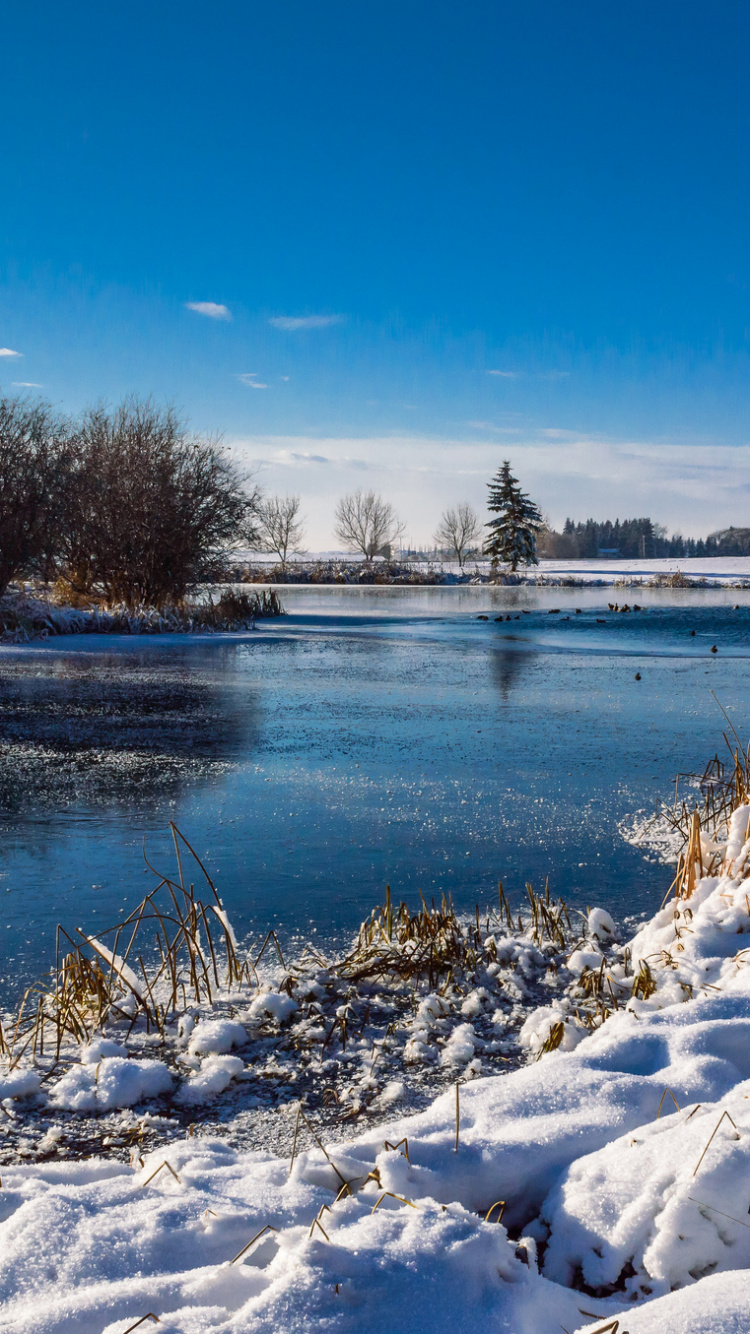 Snow Covered Field Near Body of Water Under Blue Sky During Daytime. Wallpaper in 750x1334 Resolution