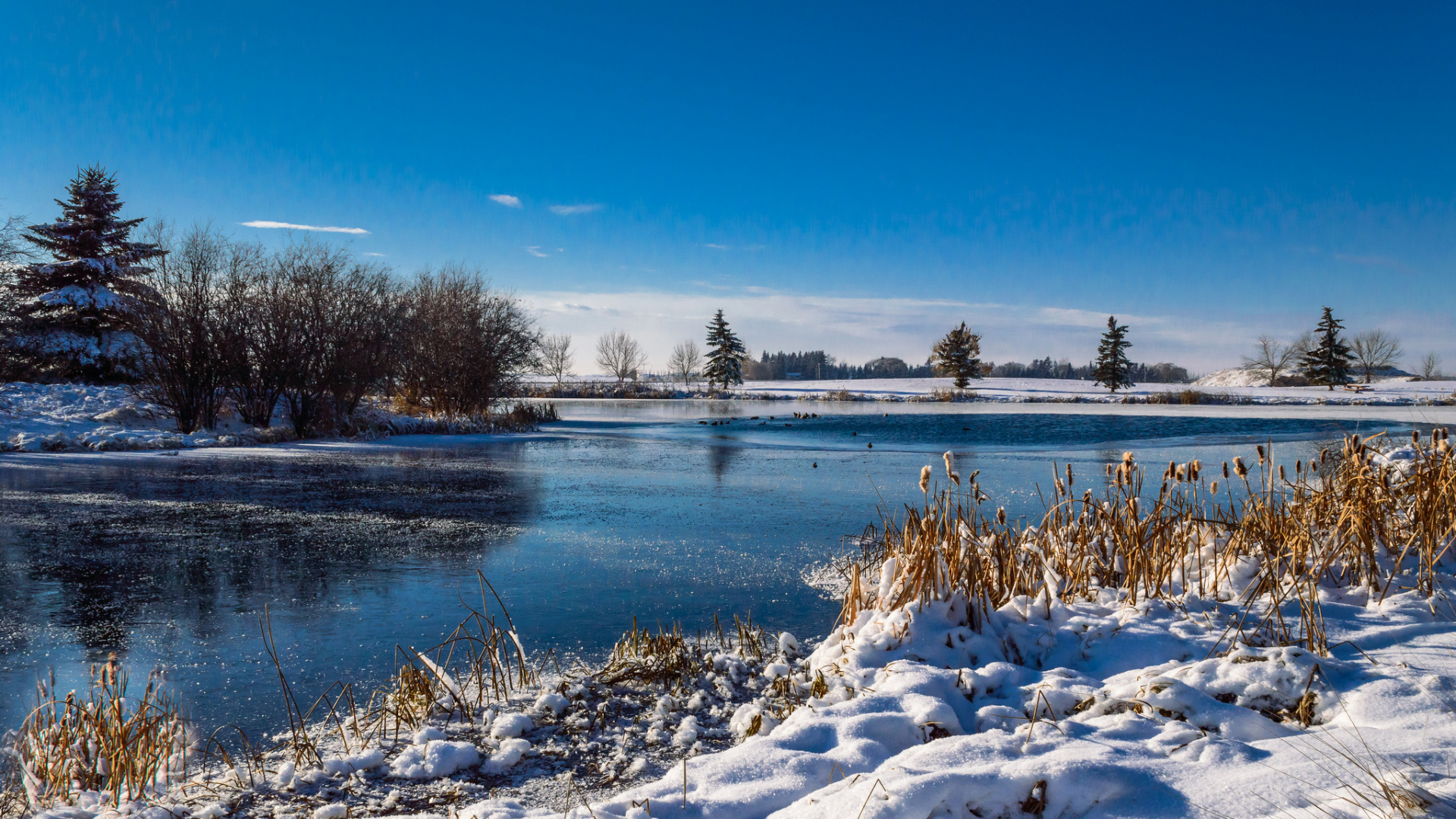 Schneebedecktes Feld in Der Nähe Von Gewässern Unter Blauem Himmel Tagsüber. Wallpaper in 1920x1080 Resolution