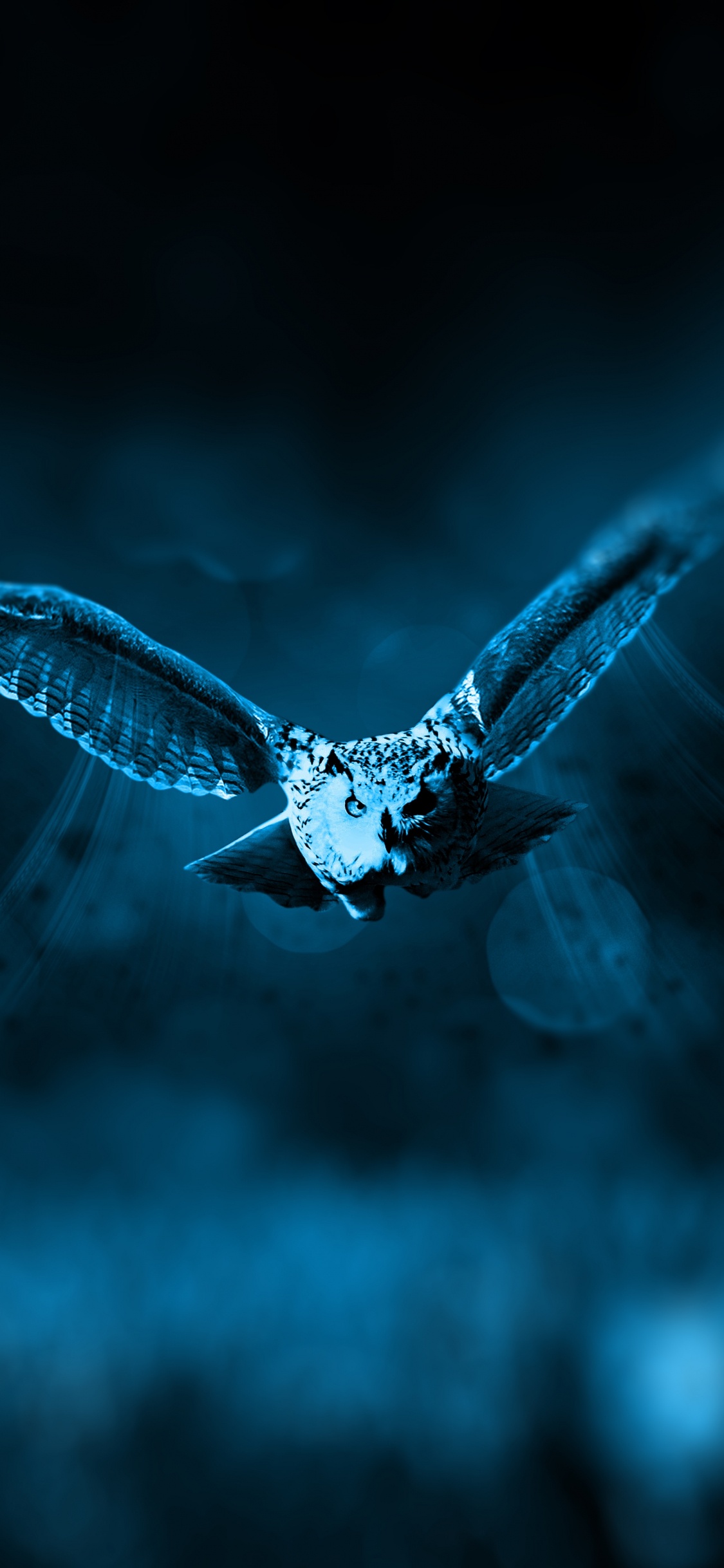 White and Black Butterfly Flying in The Sky. Wallpaper in 1125x2436 Resolution