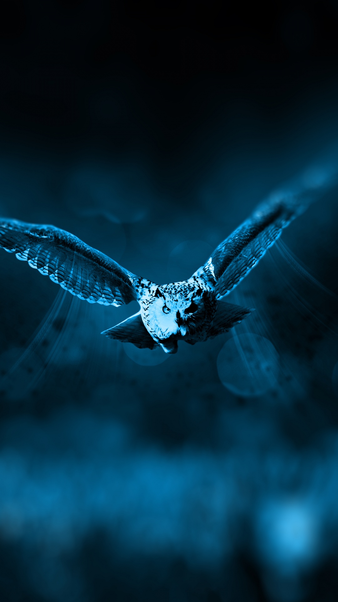 Weißer Und Schwarzer Schmetterling, Der in Den Himmel Fliegt. Wallpaper in 1080x1920 Resolution