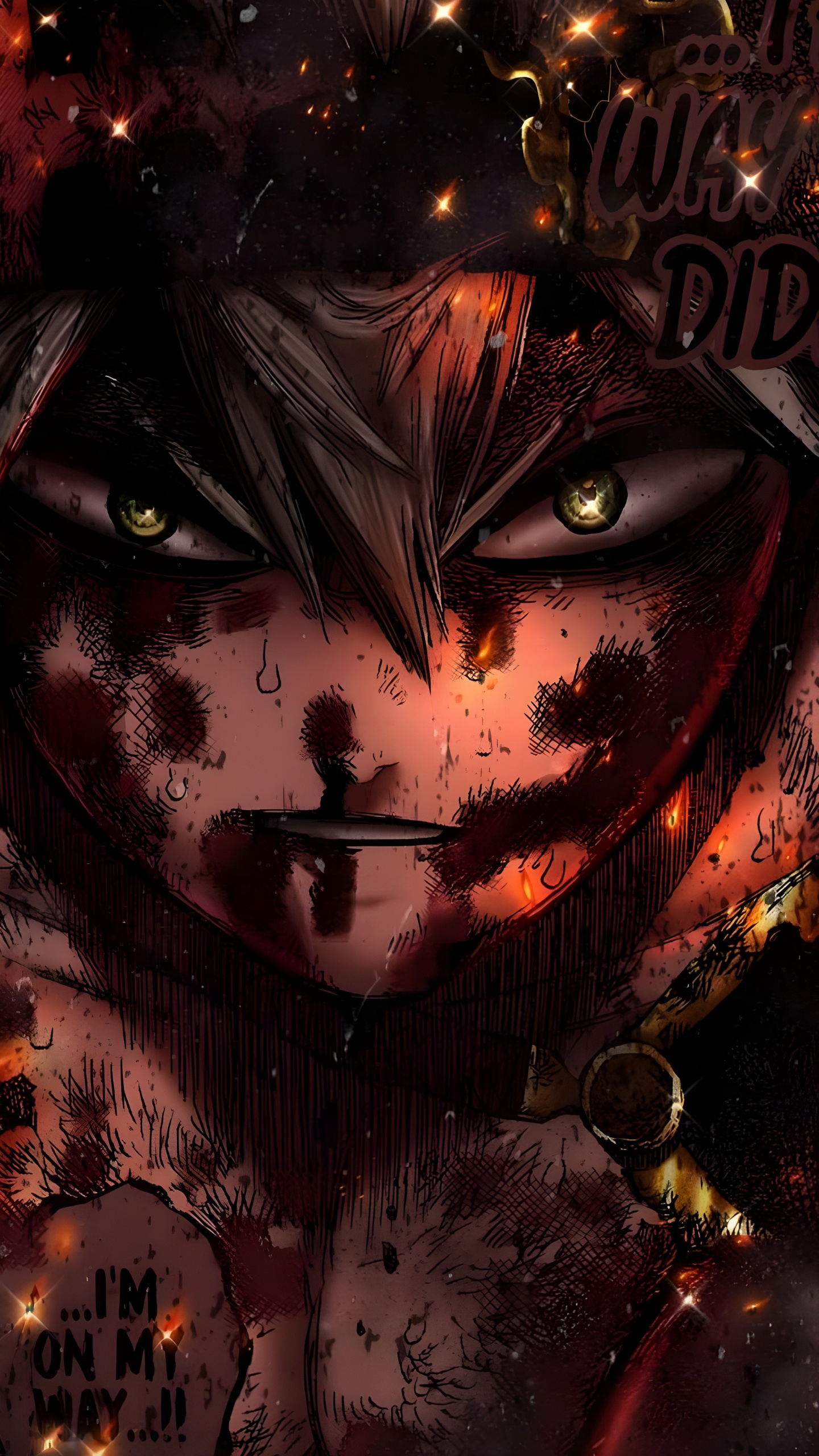 Obscurité, Andouiller, Trèfle Noir, Manche, L'anime. Wallpaper in 1440x2560 Resolution