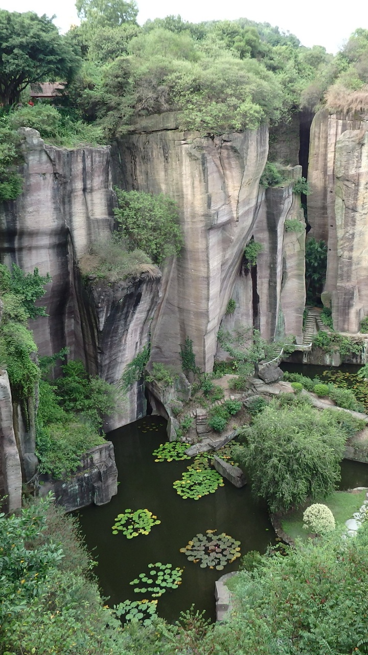 Green Trees Beside River During Daytime. Wallpaper in 720x1280 Resolution