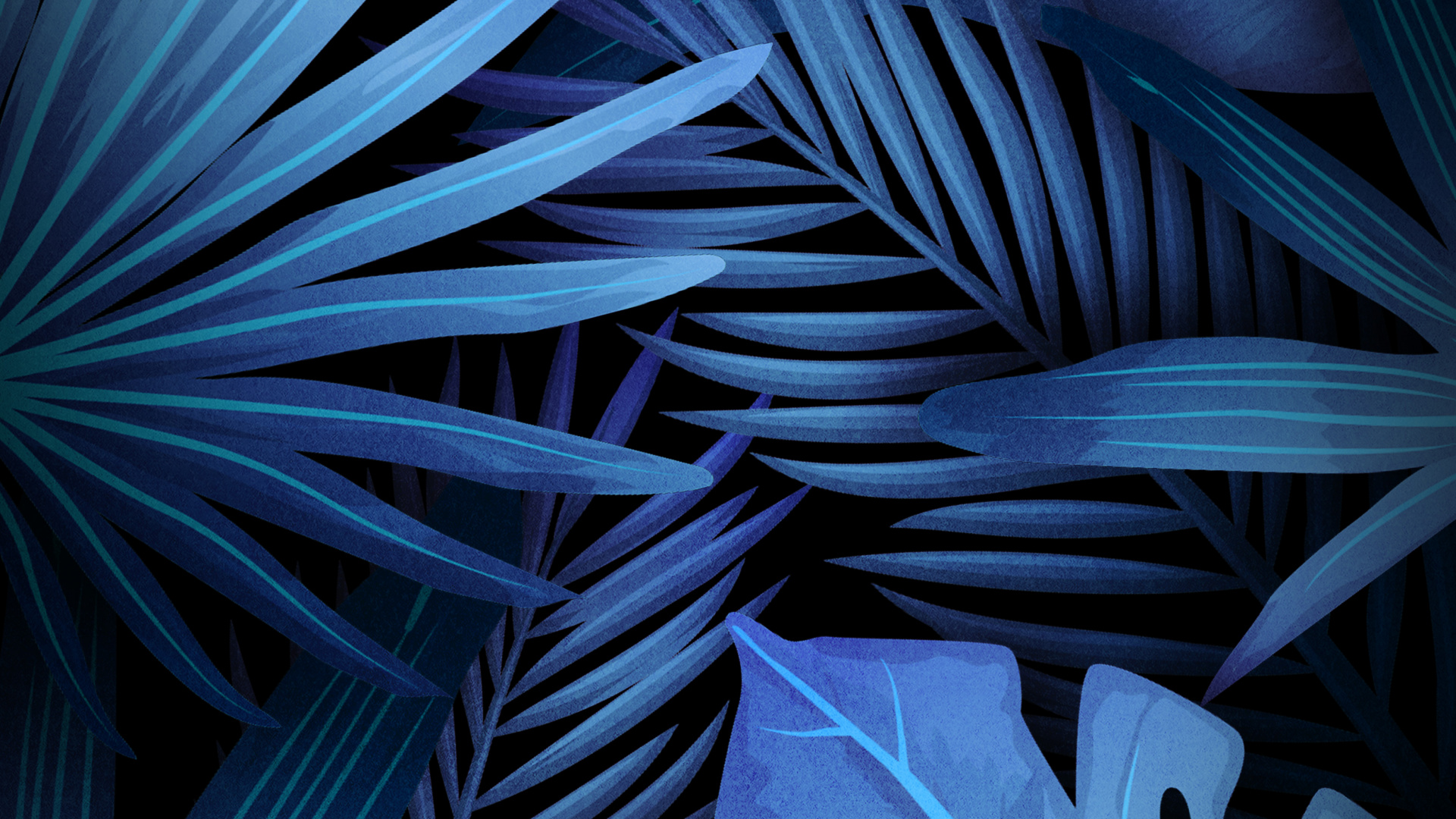 菌群, 艺术, 光, 性质, Azure 壁纸 1920x1080 允许