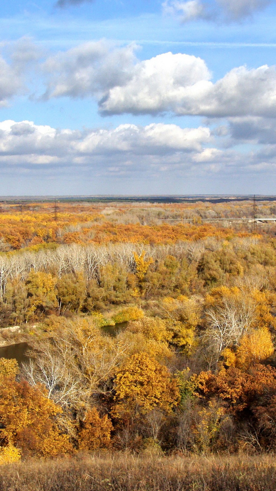 Campo de Hierba Marrón Bajo un Cielo Azul Durante el Día. Wallpaper in 1080x1920 Resolution