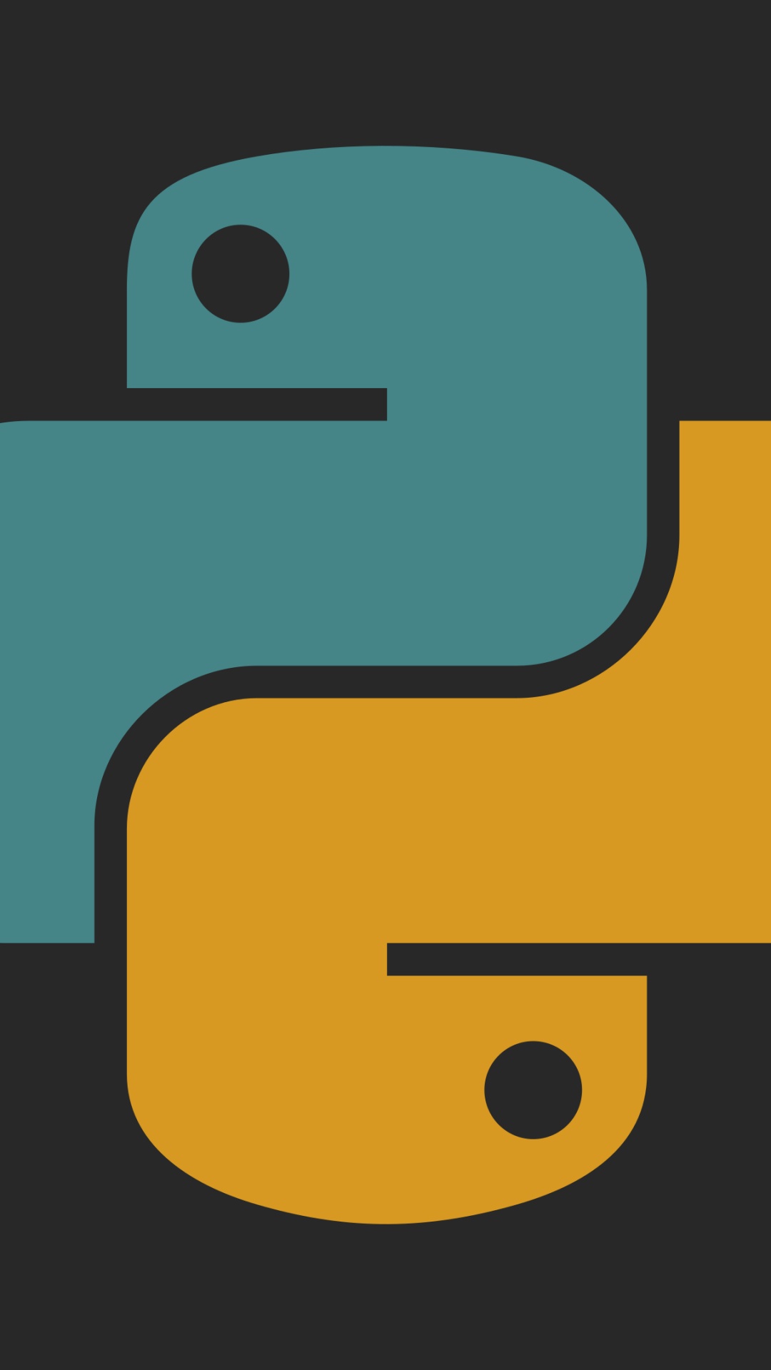 Python, Programming Language, Standing, Icon, Java. Wallpaper in 1080x1920 Resolution