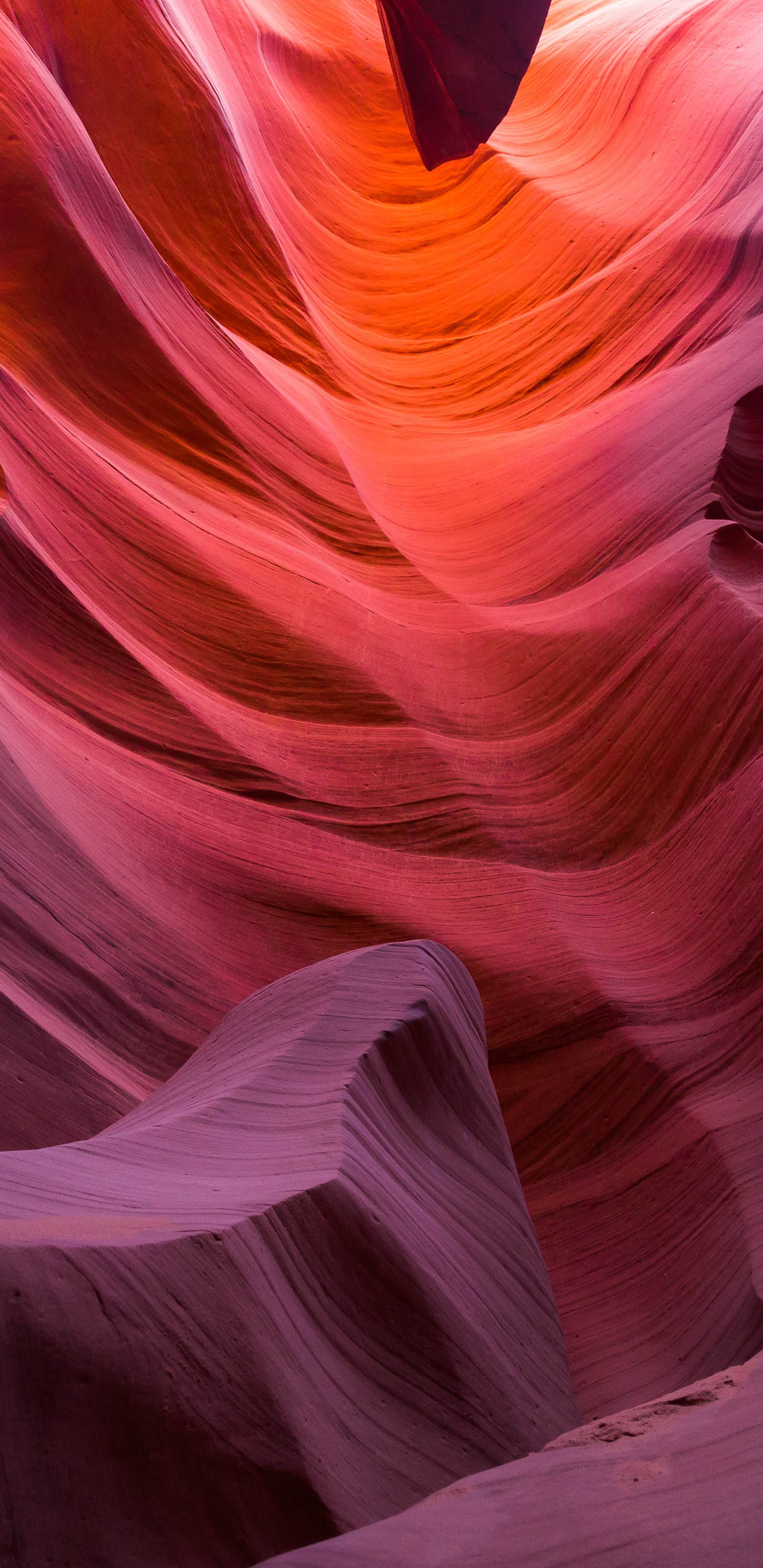 Antelope Canyon, Canyon de L'antilope Inférieur, Page, Grand Canyon, Horseshoe Bend. Wallpaper in 1440x2960 Resolution
