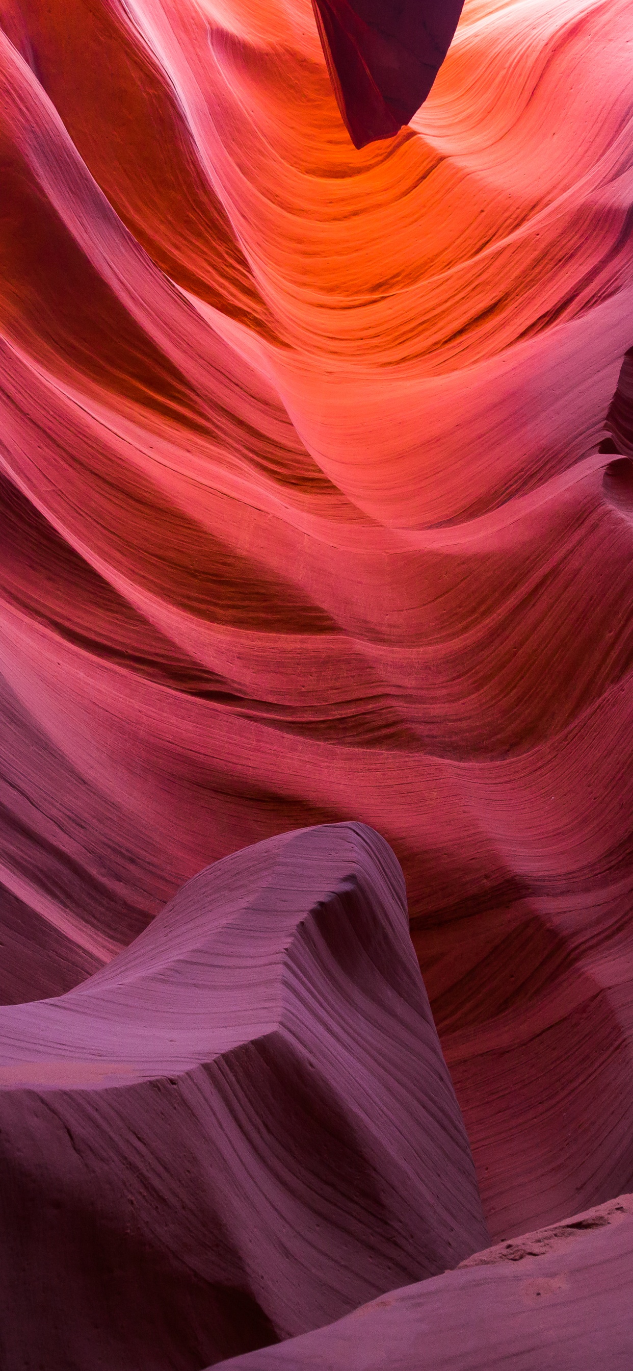 羚羊谷, 页面, 大峡谷, 马蹄弯, 峡谷 壁纸 1242x2688 允许