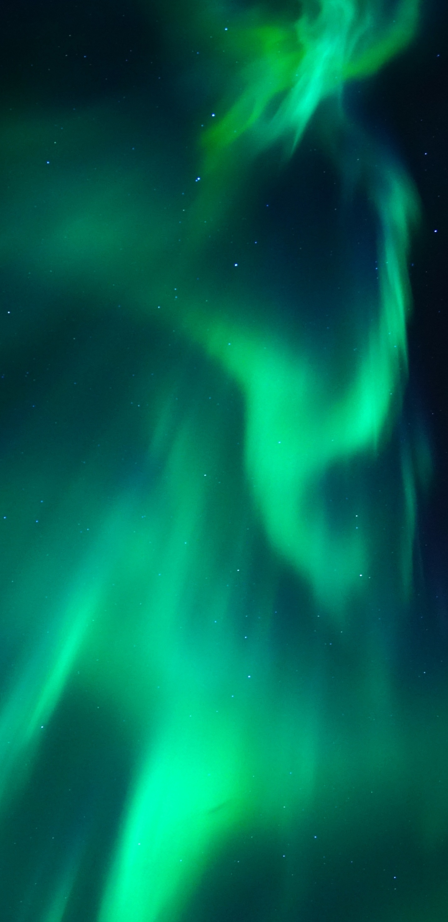 Luz Verde y Azul en Una Habitación Oscura.. Wallpaper in 1440x2960 Resolution