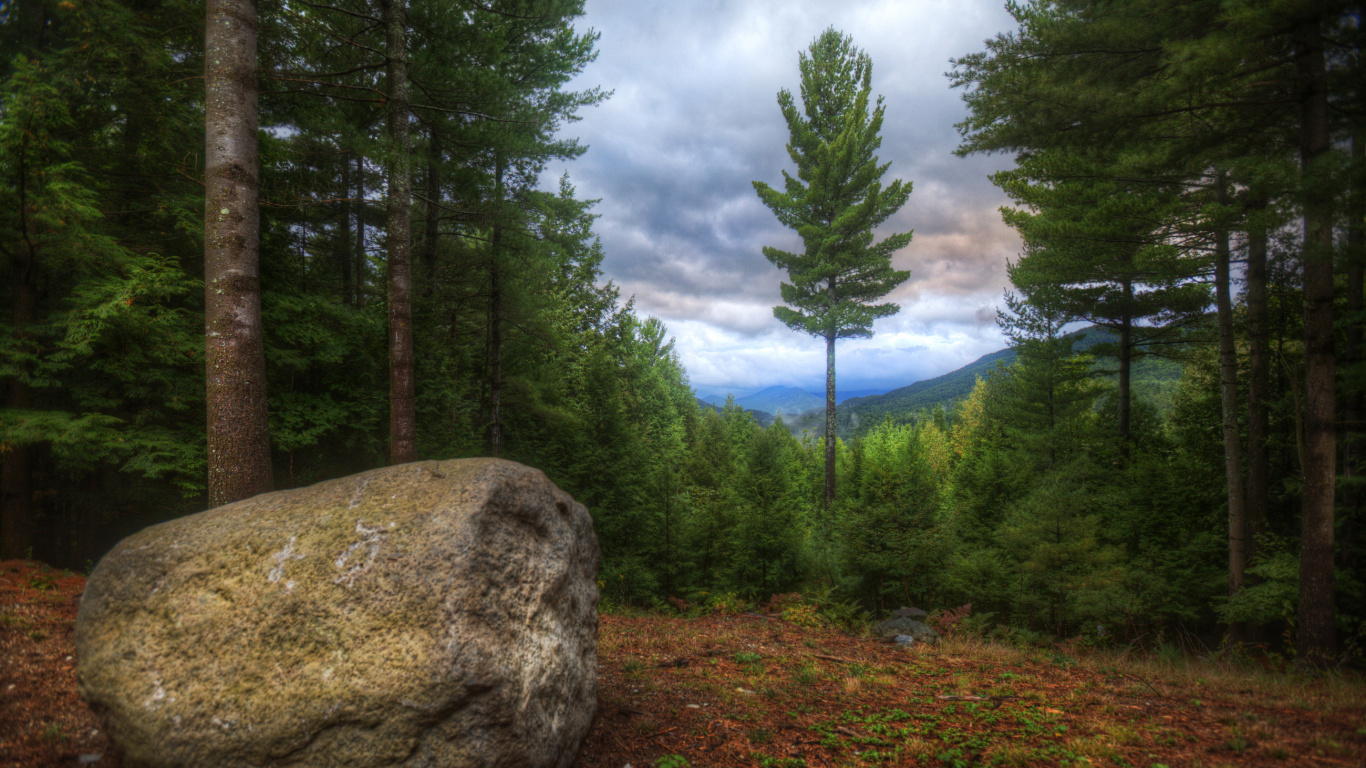 Green Trees and Brown Rock Formation Under Blue Sky During Daytime. Wallpaper in 1366x768 Resolution