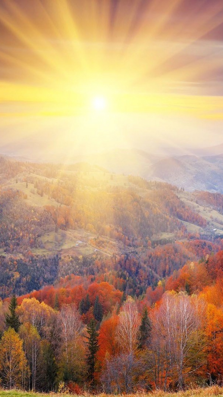 Natur, Bergigen Landschaftsformen, Blatt, Wildnis, Herbst. Wallpaper in 720x1280 Resolution