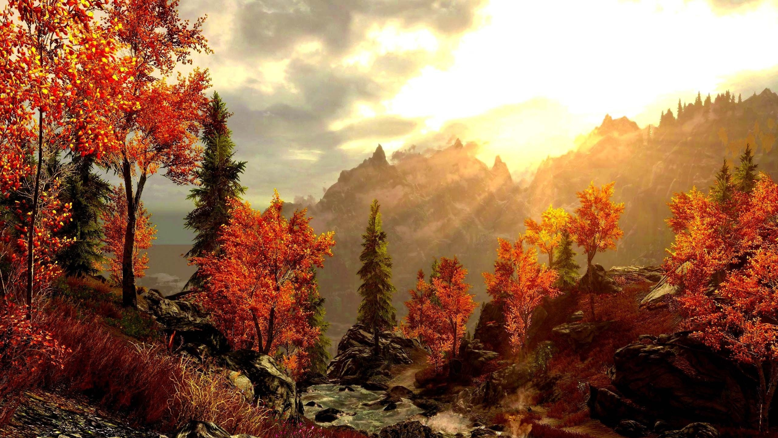 Red and Green Trees Near Body of Water During Daytime. Wallpaper in 2560x1440 Resolution