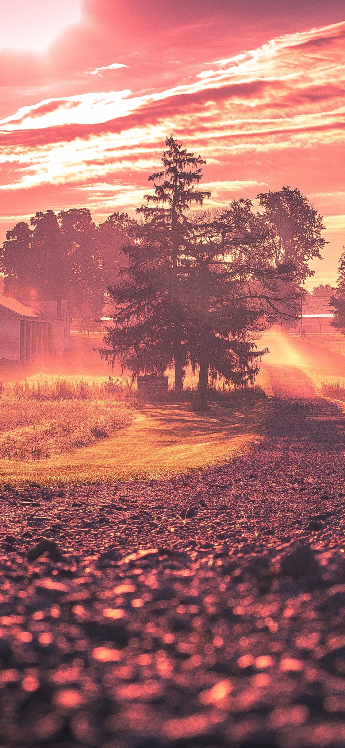 Lever, Nature, Paysage Naturel, Matin, L'heure Dorée. Wallpaper in 1125x2436 Resolution