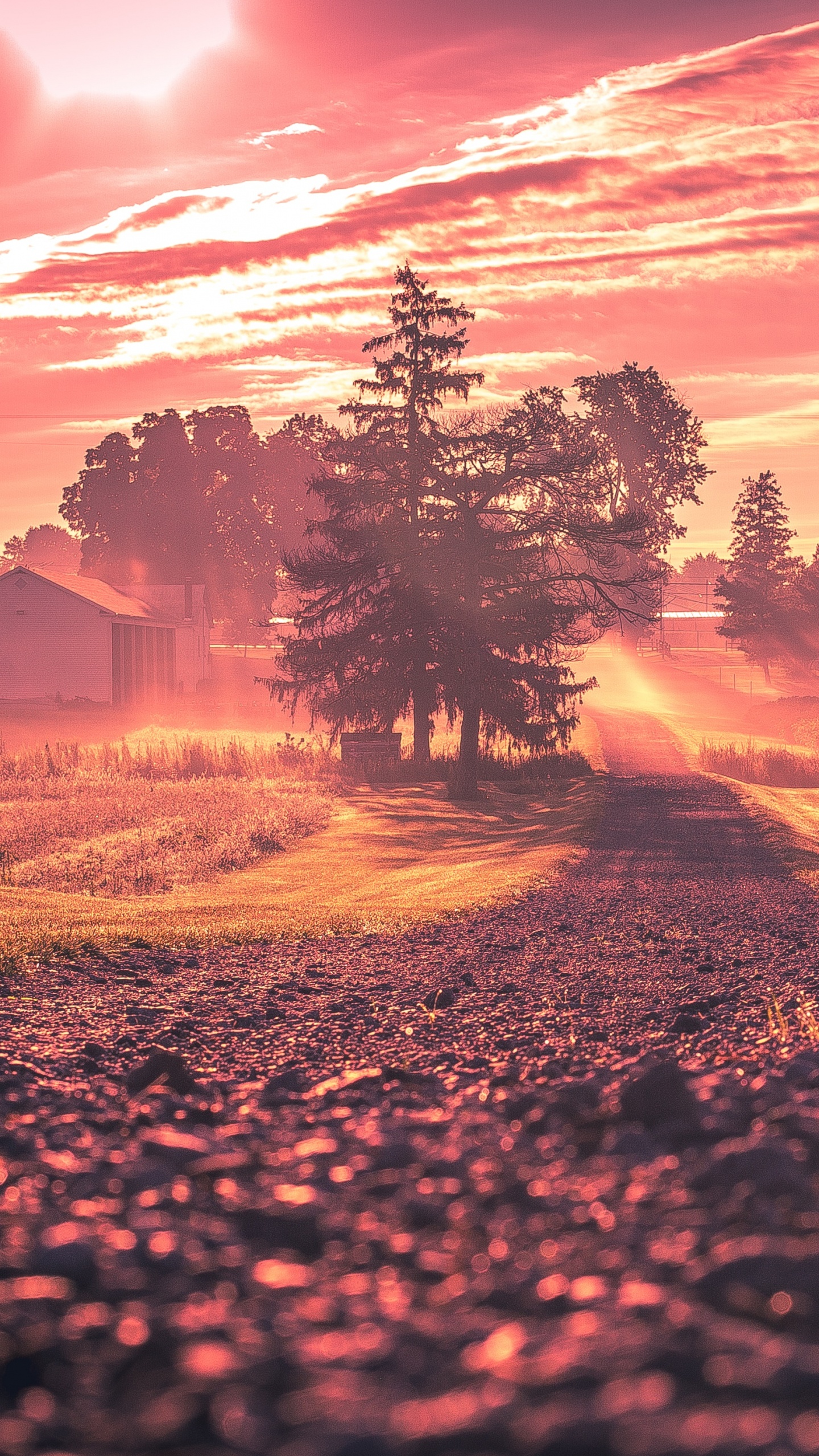 Lever, Nature, Paysage Naturel, Matin, L'heure Dorée. Wallpaper in 1440x2560 Resolution