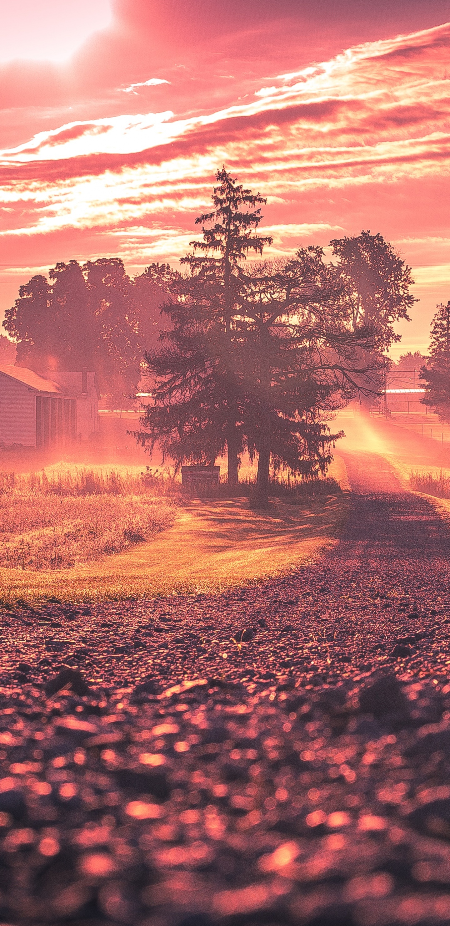 Lever, Nature, Paysage Naturel, Matin, L'heure Dorée. Wallpaper in 1440x2960 Resolution