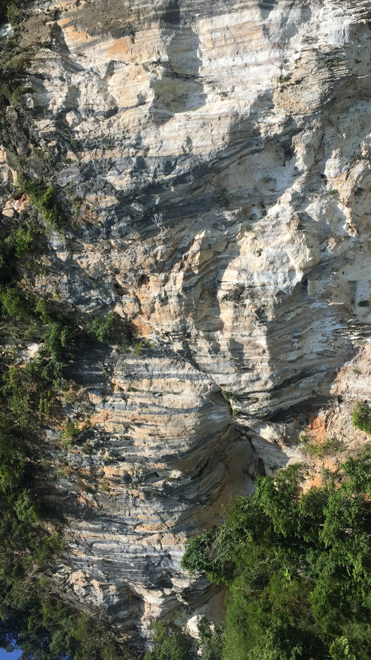 Nature Reserve, Outcrop, Geology, Water, Vegetation. Wallpaper in 750x1334 Resolution