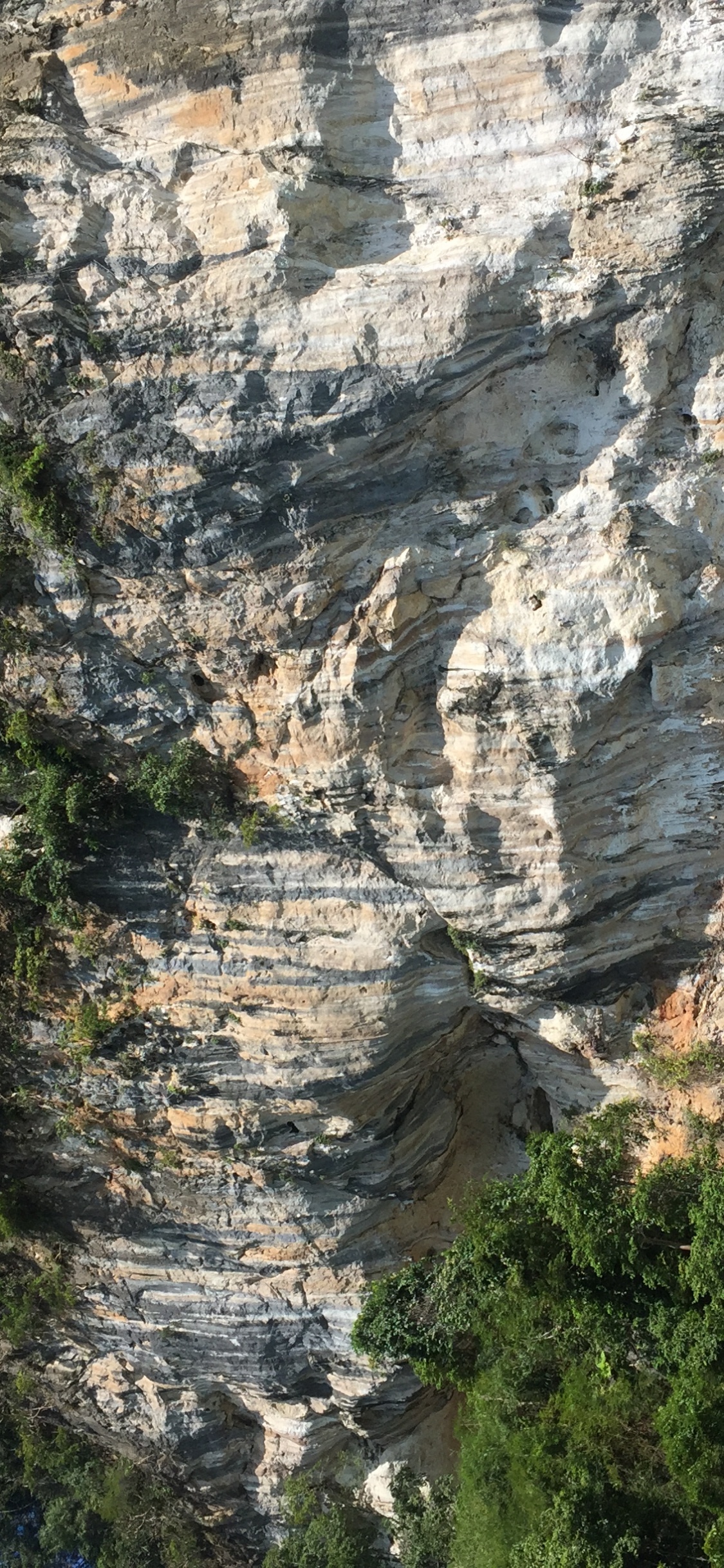 Naturschutzgebiet, Aufschluss, Geologie, Wasser, Vegetation. Wallpaper in 1125x2436 Resolution