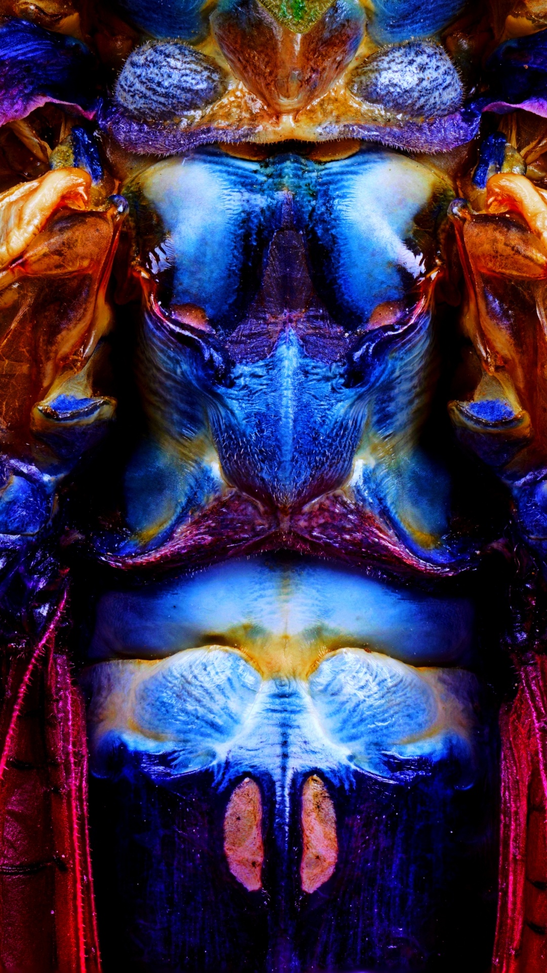 Blau, Purpur, Farbigkeit, Magenta, Electric Blue. Wallpaper in 1080x1920 Resolution