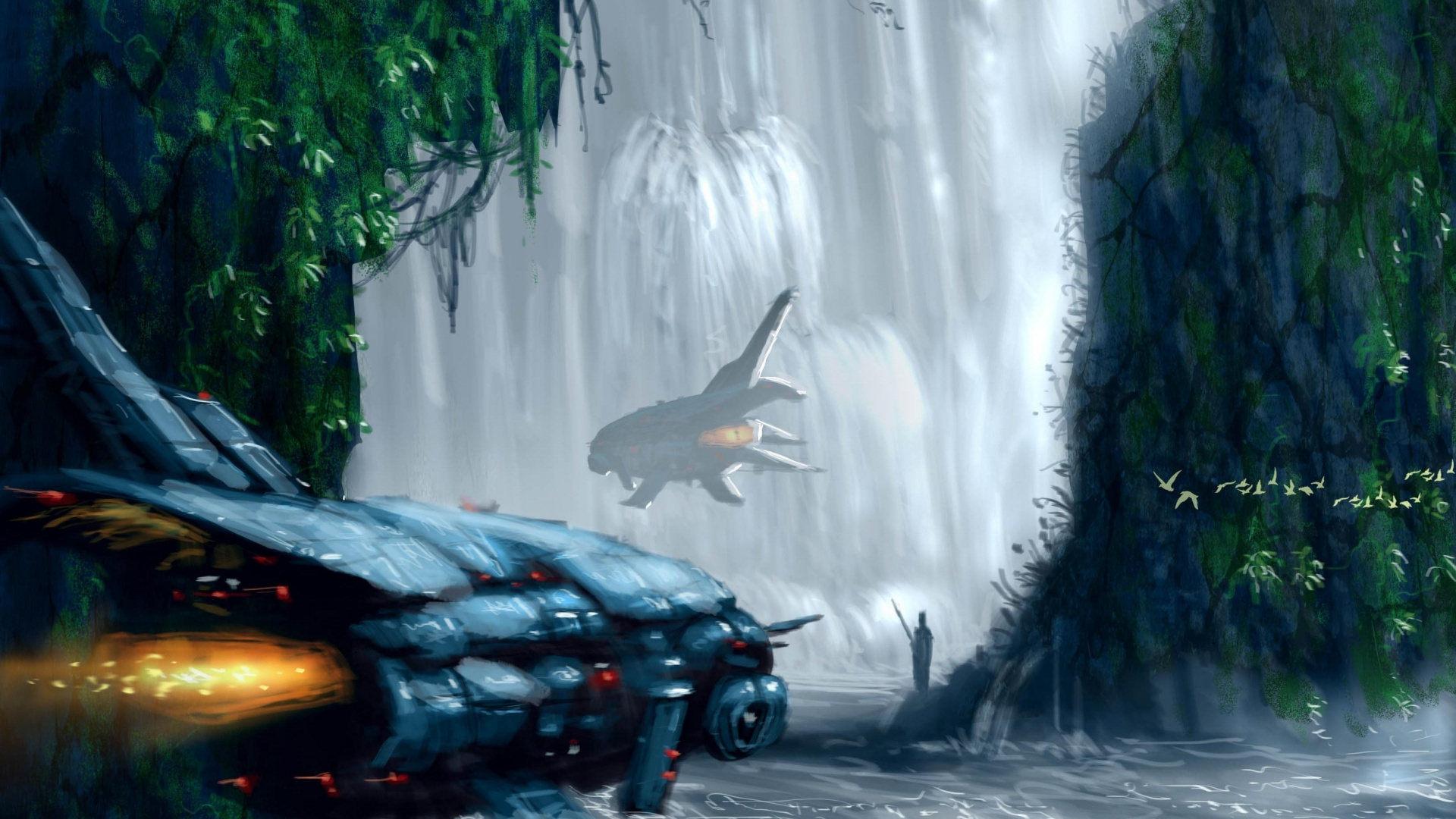 Black and White Bird Flying Over Black Car During Daytime. Wallpaper in 1920x1080 Resolution