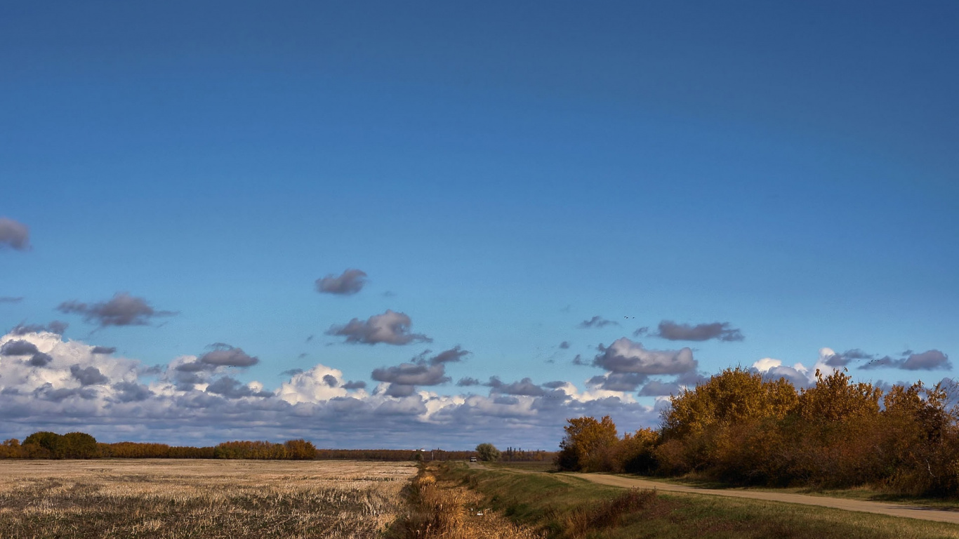 Green Grass Field Under Blue Sky During Daytime. Wallpaper in 1366x768 Resolution