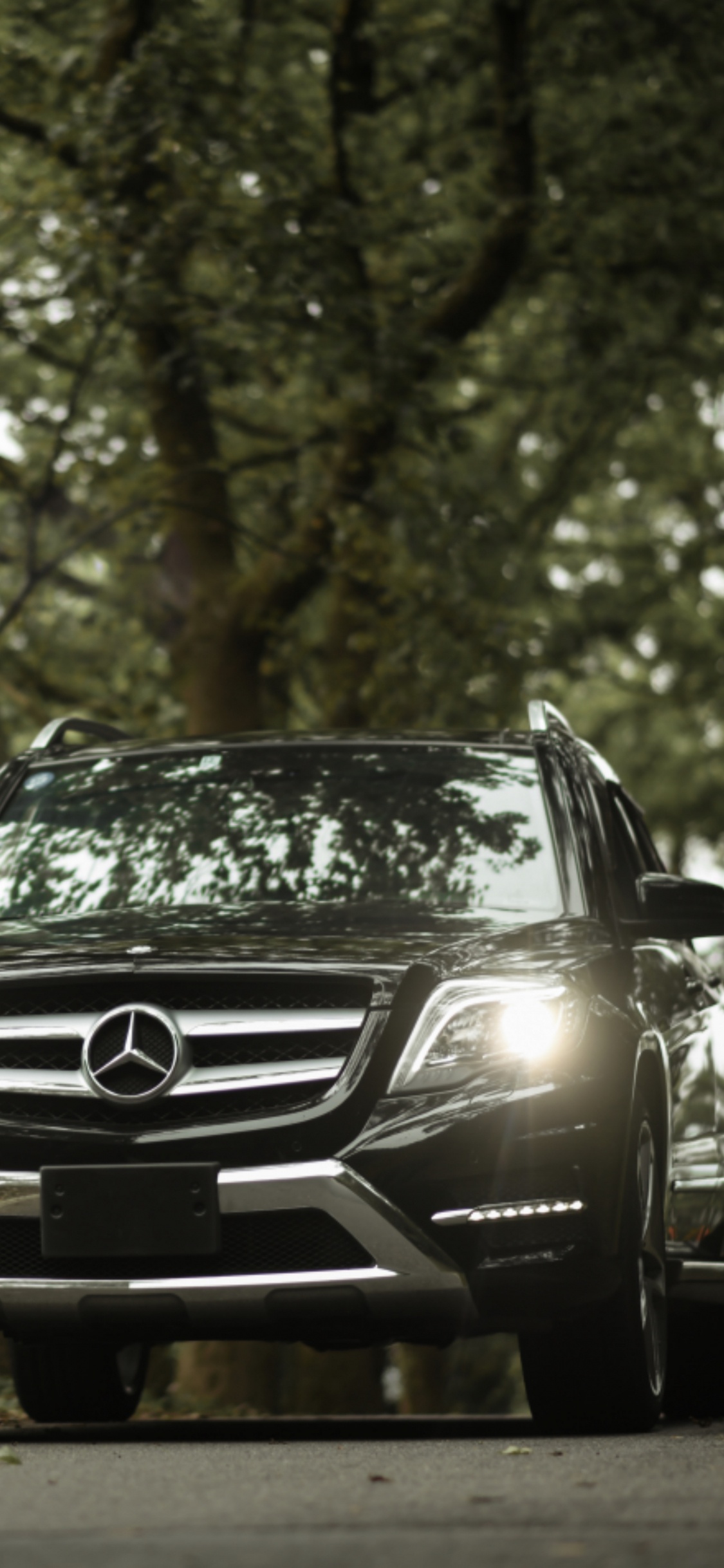 Schwarzes Mercedes-Benz-Auto im Wald Tagsüber. Wallpaper in 1125x2436 Resolution