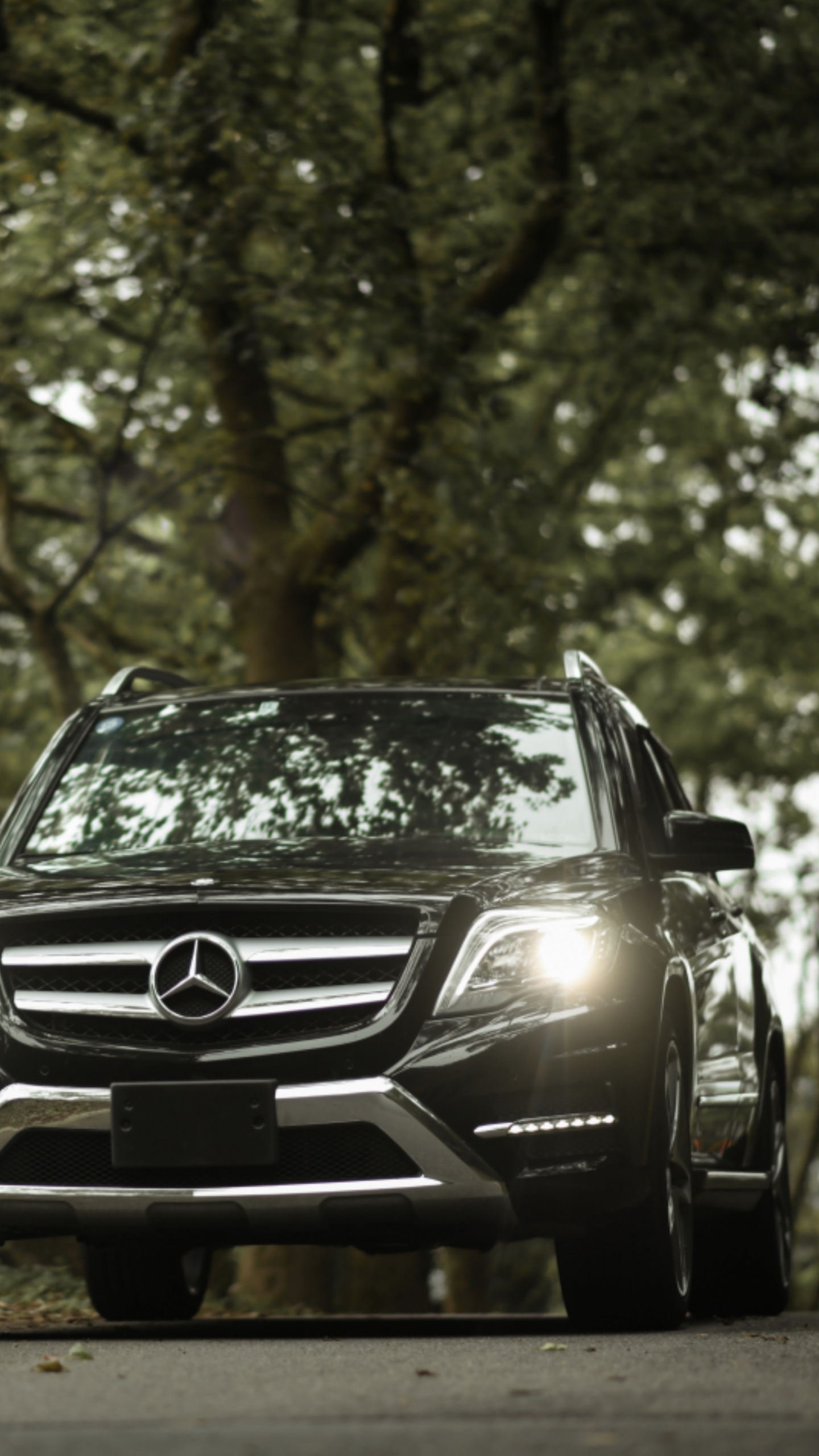 Coche Mercedes Benz Negro en el Bosque Durante el Día. Wallpaper in 1440x2560 Resolution