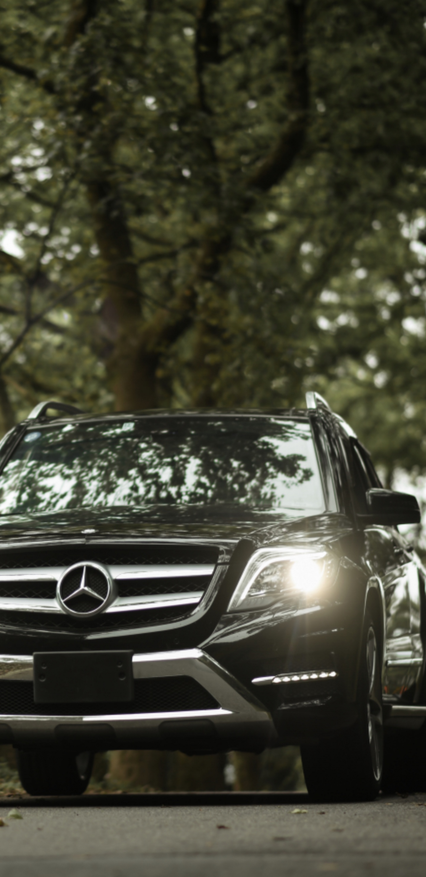 Black Mercedes Benz Car on Forest During Daytime. Wallpaper in 1440x2960 Resolution