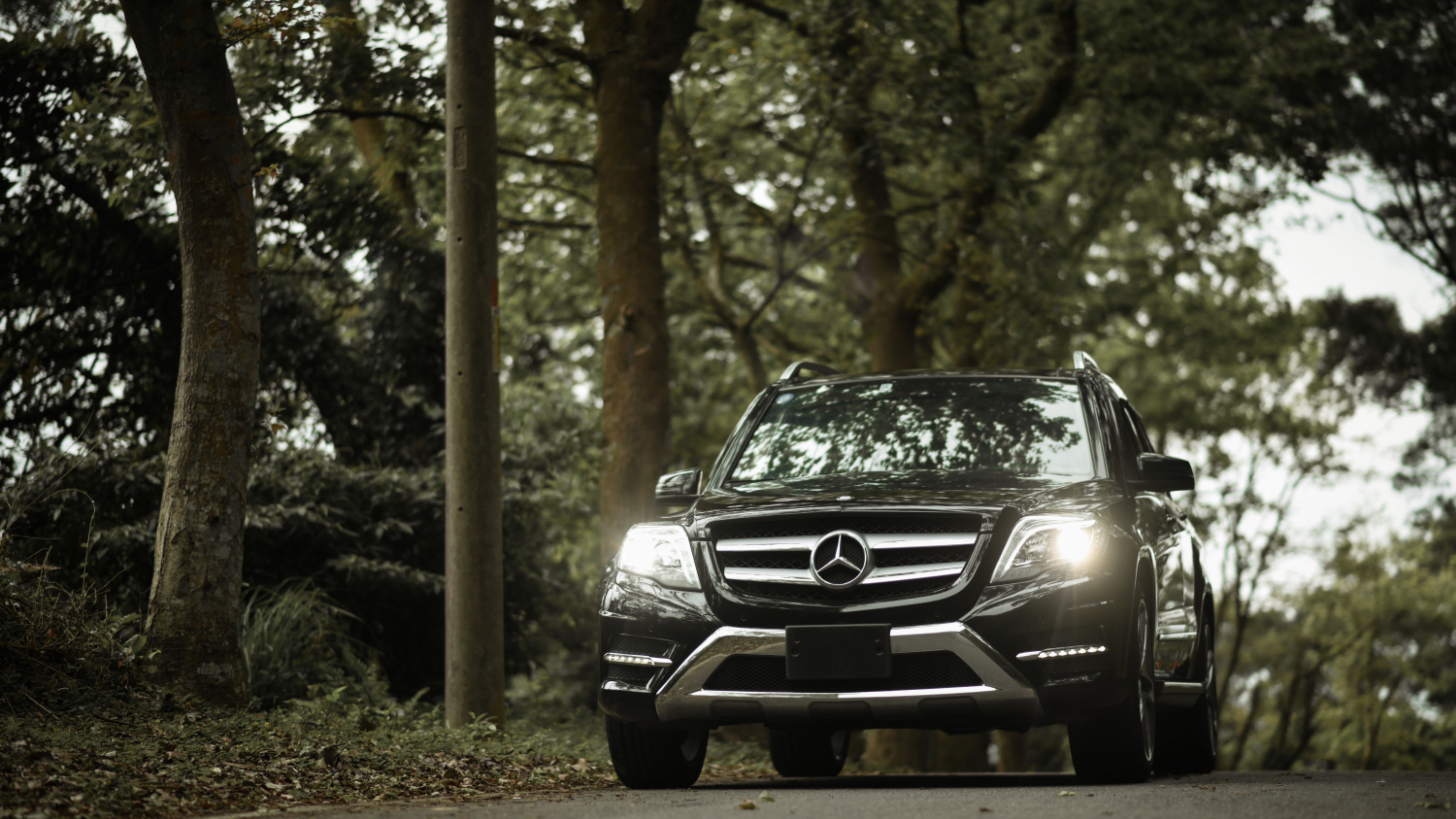 Black Mercedes Benz Car on Forest During Daytime. Wallpaper in 7680x4320 Resolution