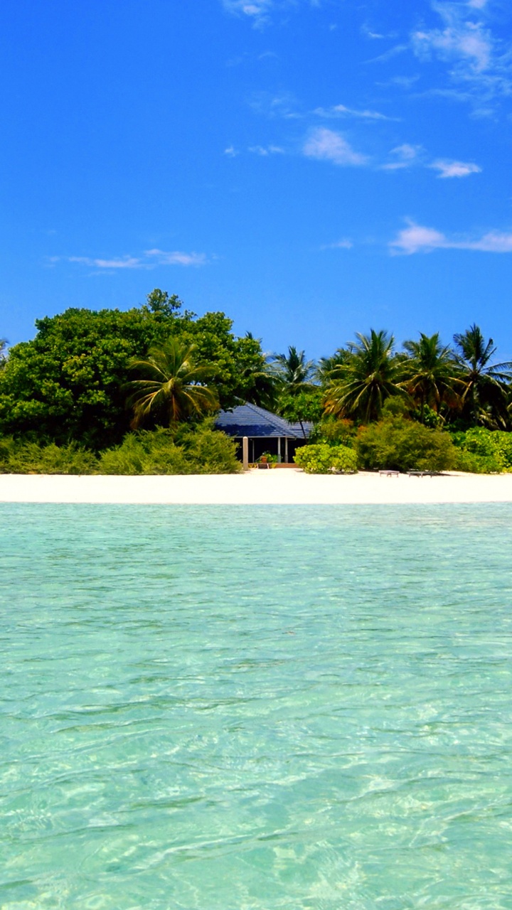 Brown Wooden Beach House on White Sand Beach During Daytime. Wallpaper in 720x1280 Resolution