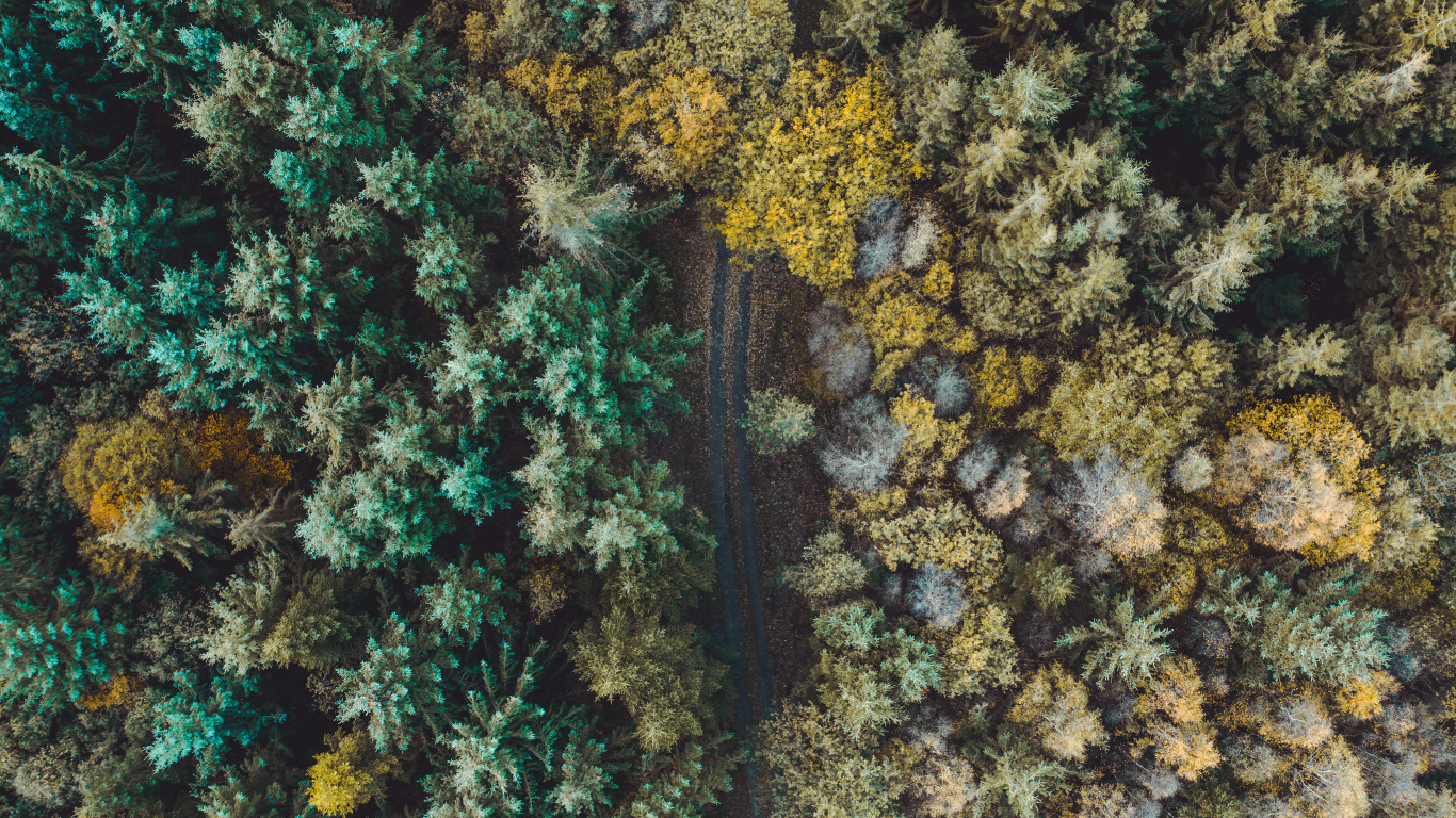 Gr, Natürlichen Umgebung, Fraktale Kunst, Korallenriff, Riff. Wallpaper in 1366x768 Resolution