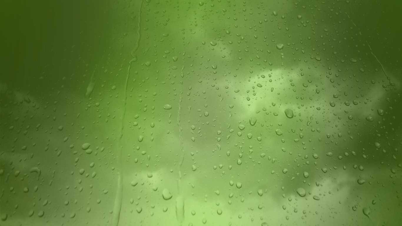 绿色的, 湿气, 放下, 降水, 工厂 壁纸 1366x768 允许