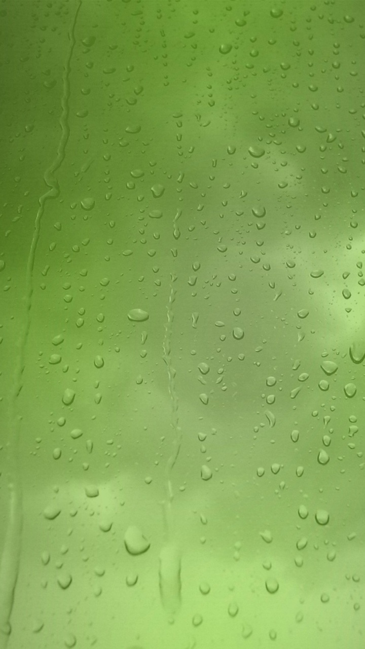 Regen, Gr, Wasser, Feuchtigkeit, Blatt. Wallpaper in 720x1280 Resolution