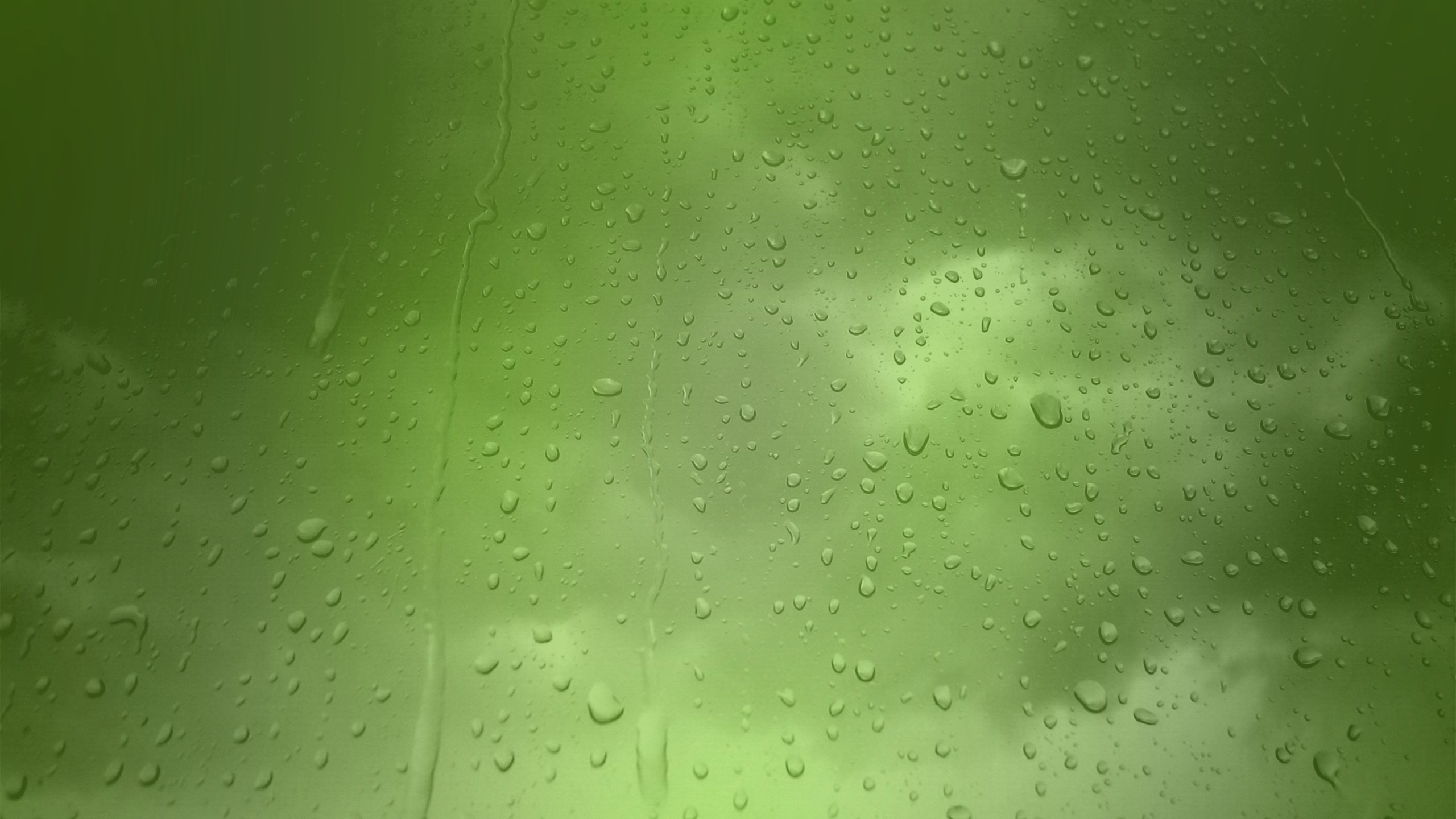 Green Rain, Rain, Green, Water, Moisture. Wallpaper in 2560x1440 Resolution