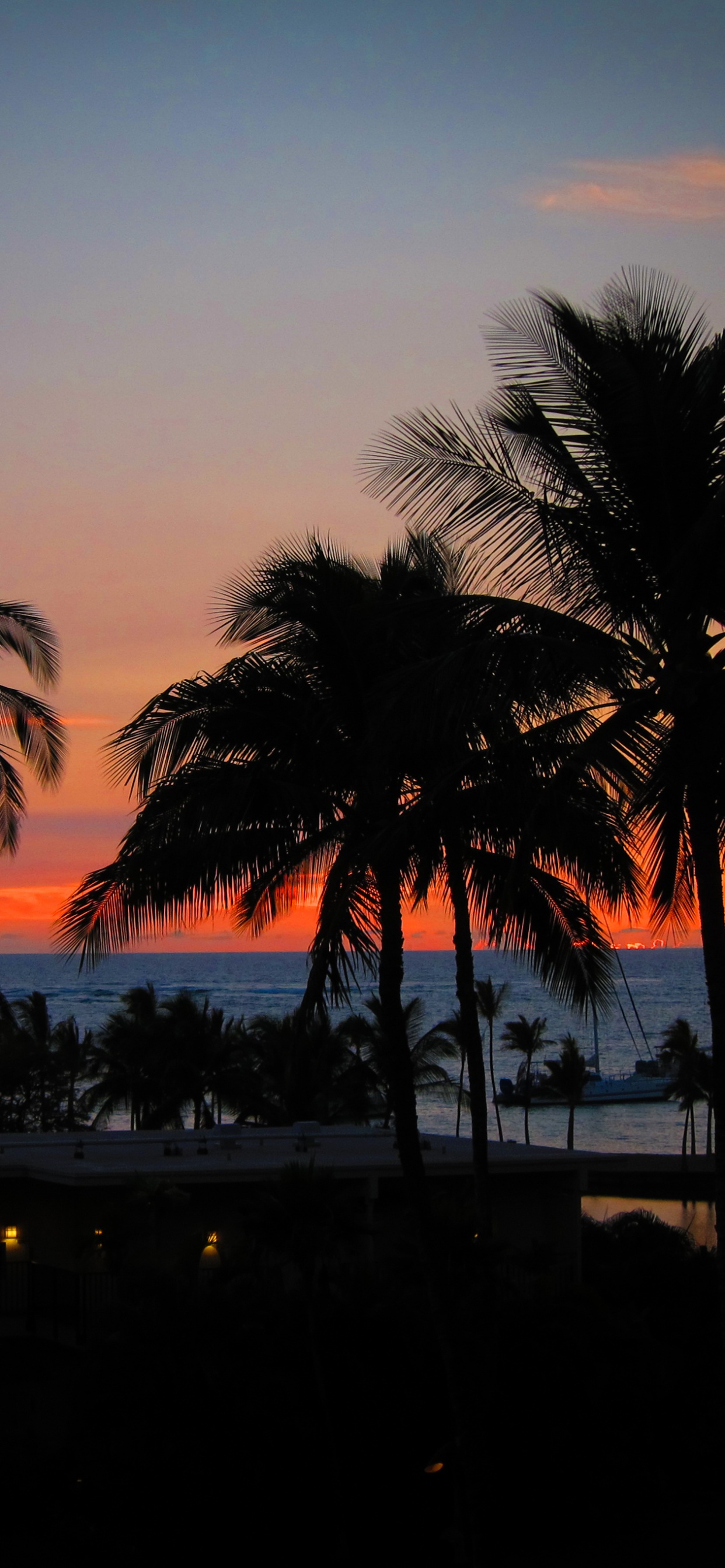 Silueta de Palmeras Durante la Puesta de Sol. Wallpaper in 1242x2688 Resolution