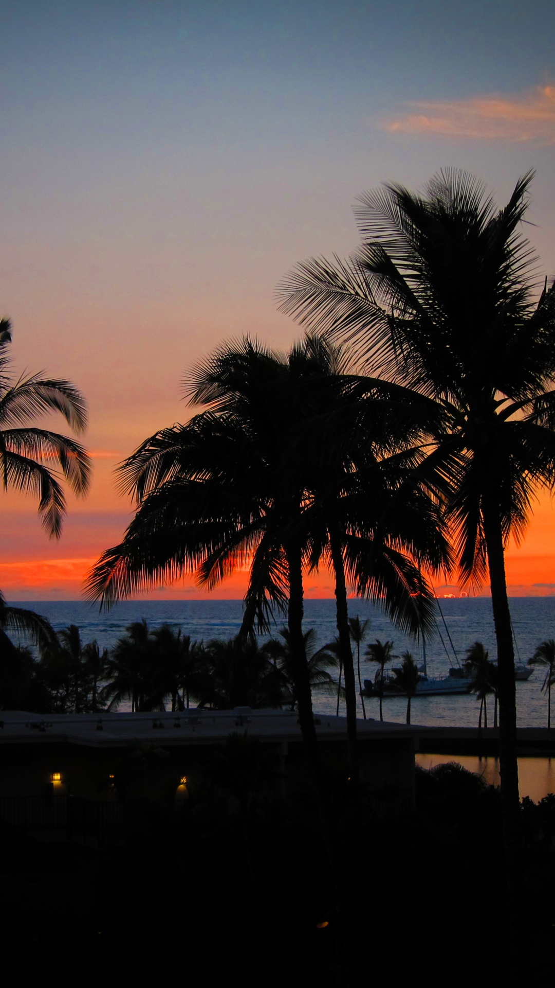 Silhouette of Palm Trees During Sunset. Wallpaper in 1080x1920 Resolution