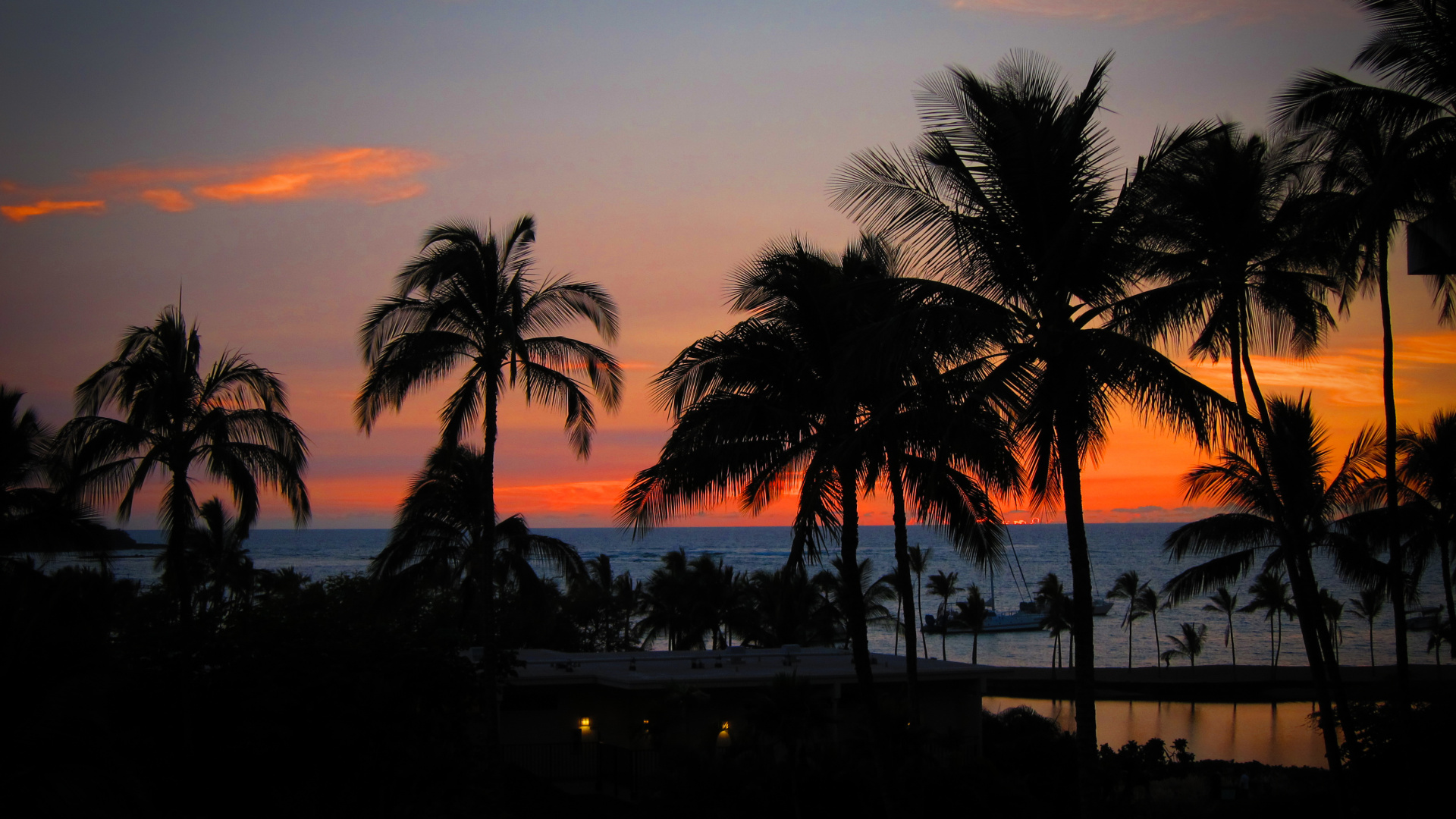 Silhouette de Palmiers au Coucher du Soleil. Wallpaper in 1920x1080 Resolution